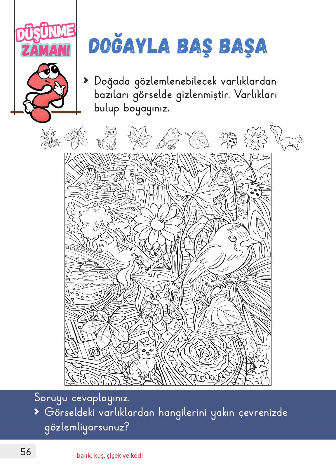 1. Sınıf Meb Yayınları 2. Kitap Hayat Bilgisi Ders Kitabı Sayfa 56 Cevapları