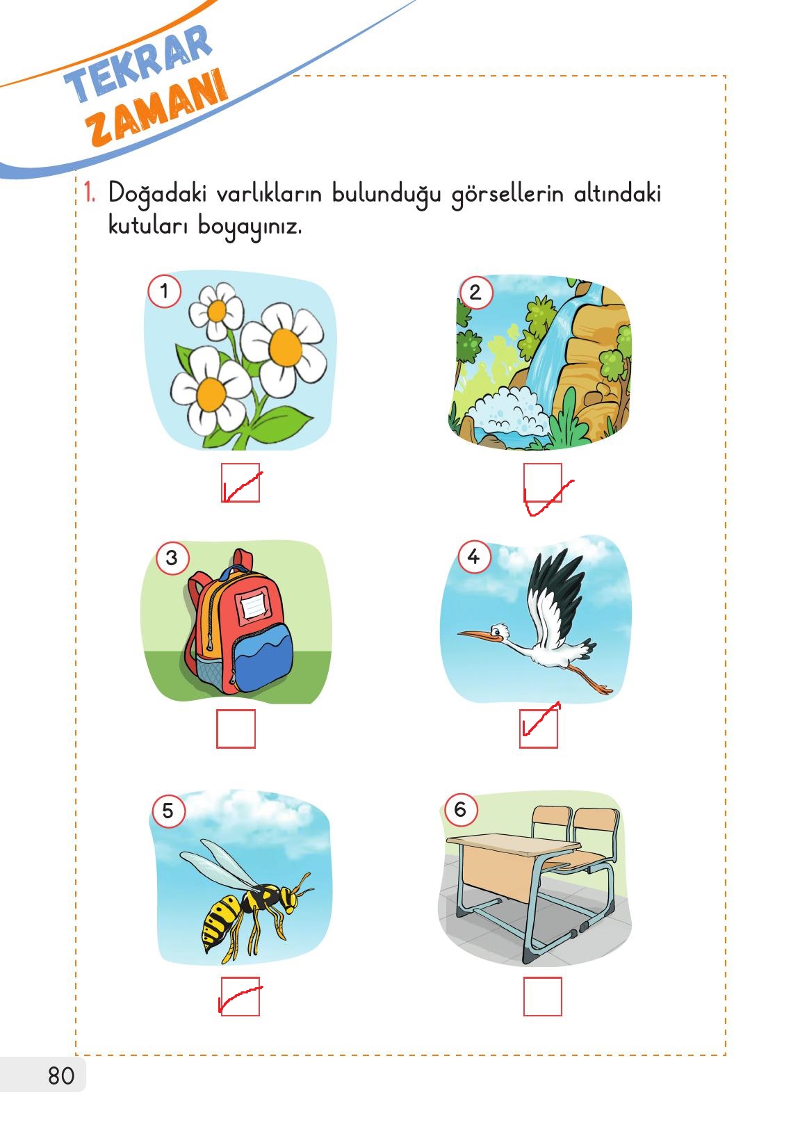 1. Sınıf Meb Yayınları 2. Kitap Hayat Bilgisi Ders Kitabı Sayfa 80 Cevapları