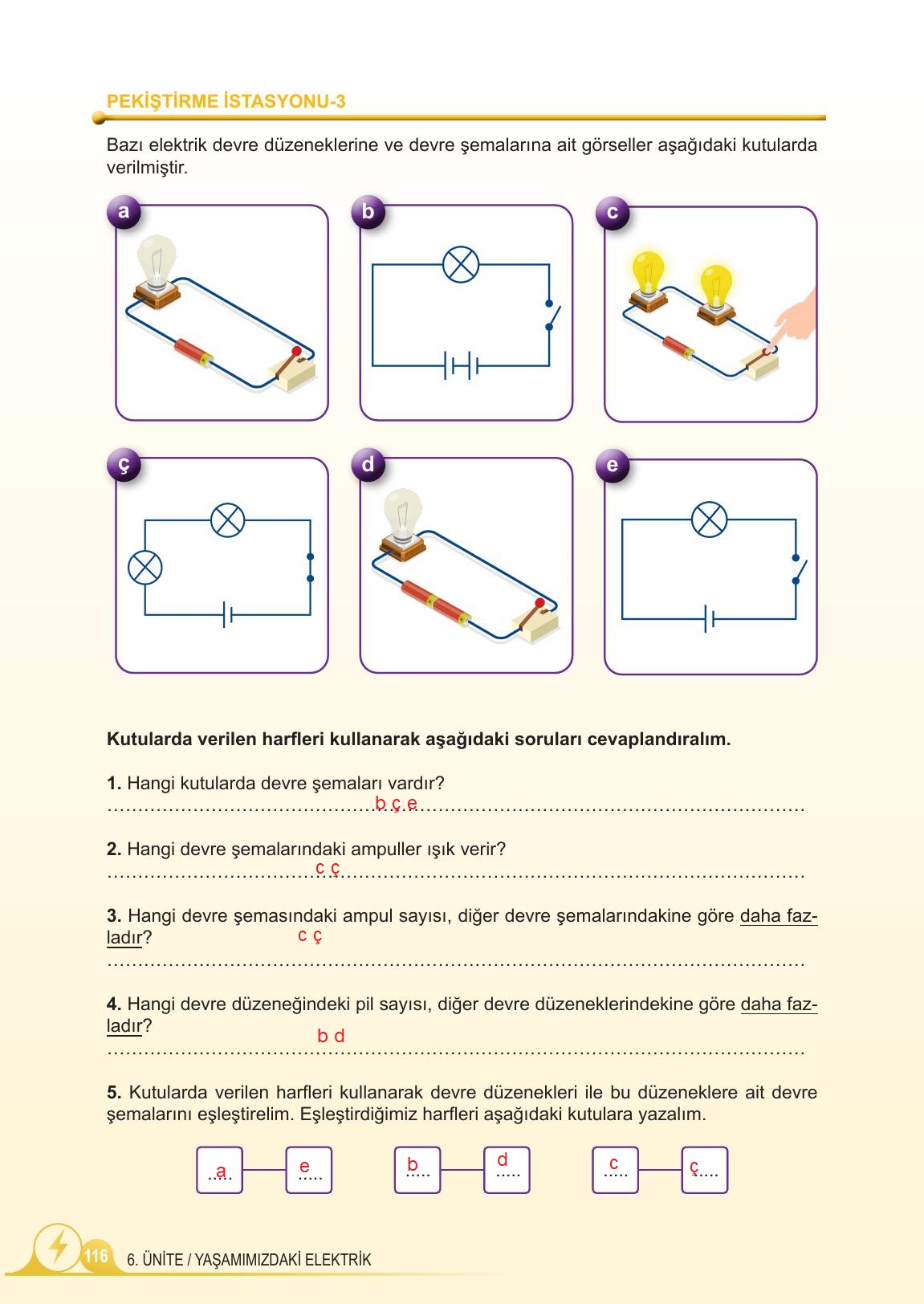 5. Sınıf Meb Yayınları 2. Kitap Fen Bilimleri Ders Kitabı Sayfa 116 Cevapları