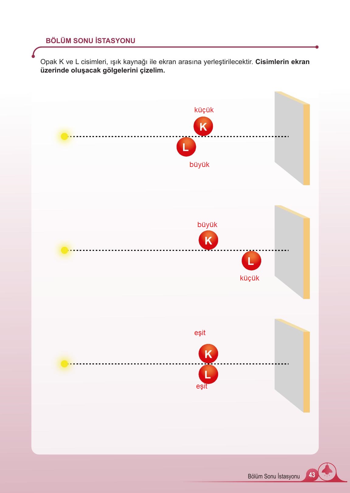 5. Sınıf Meb Yayınları 2. Kitap Fen Bilimleri Ders Kitabı Sayfa 43 Cevapları