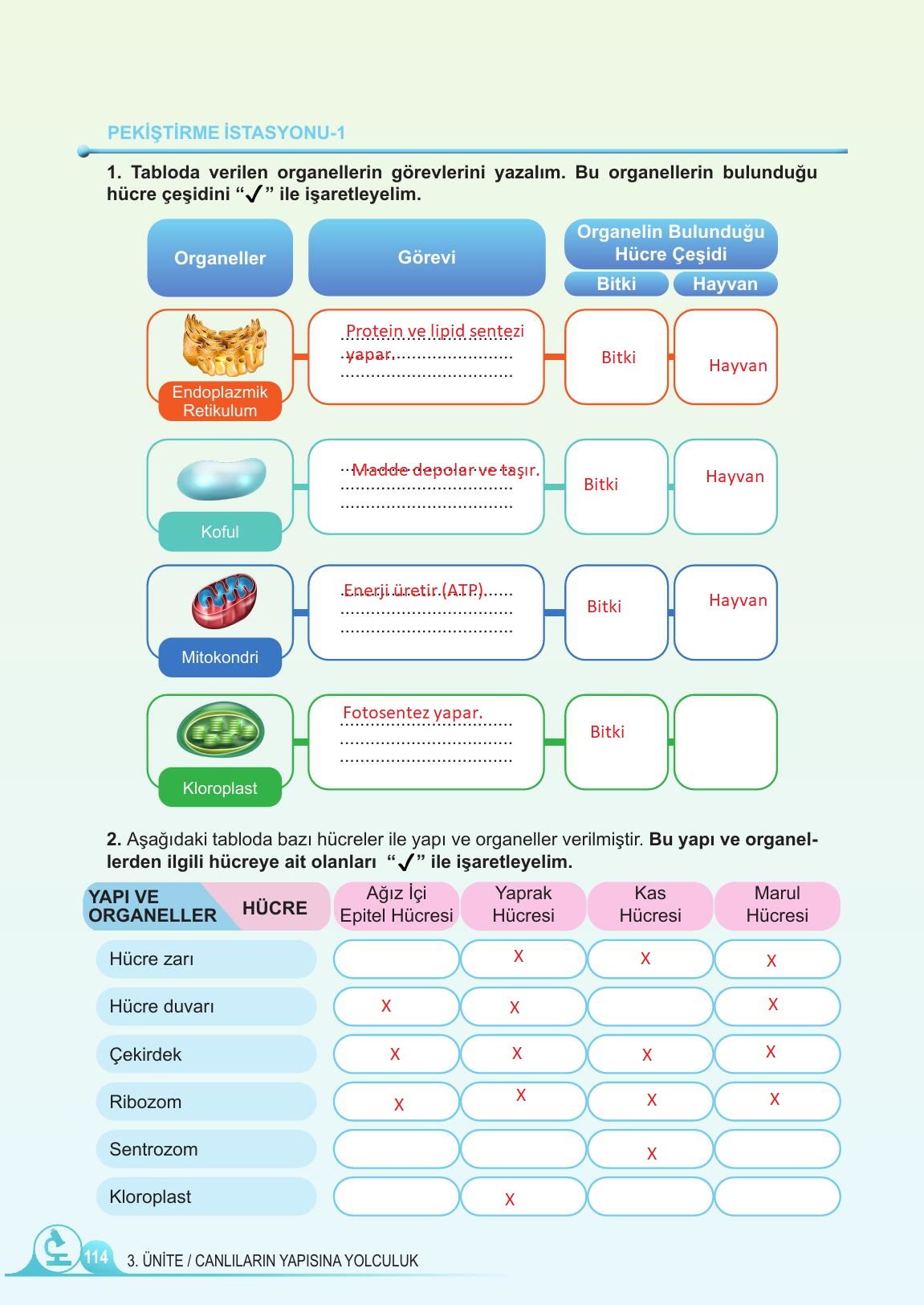 5. Sınıf Meb Yayınları Fen Bilimleri Ders Kitabı Sayfa 114 Cevapları 5. Sınıf Meb Yayınları Fen Bilimleri Ders Kitabı Sayfa 114 Cevapları