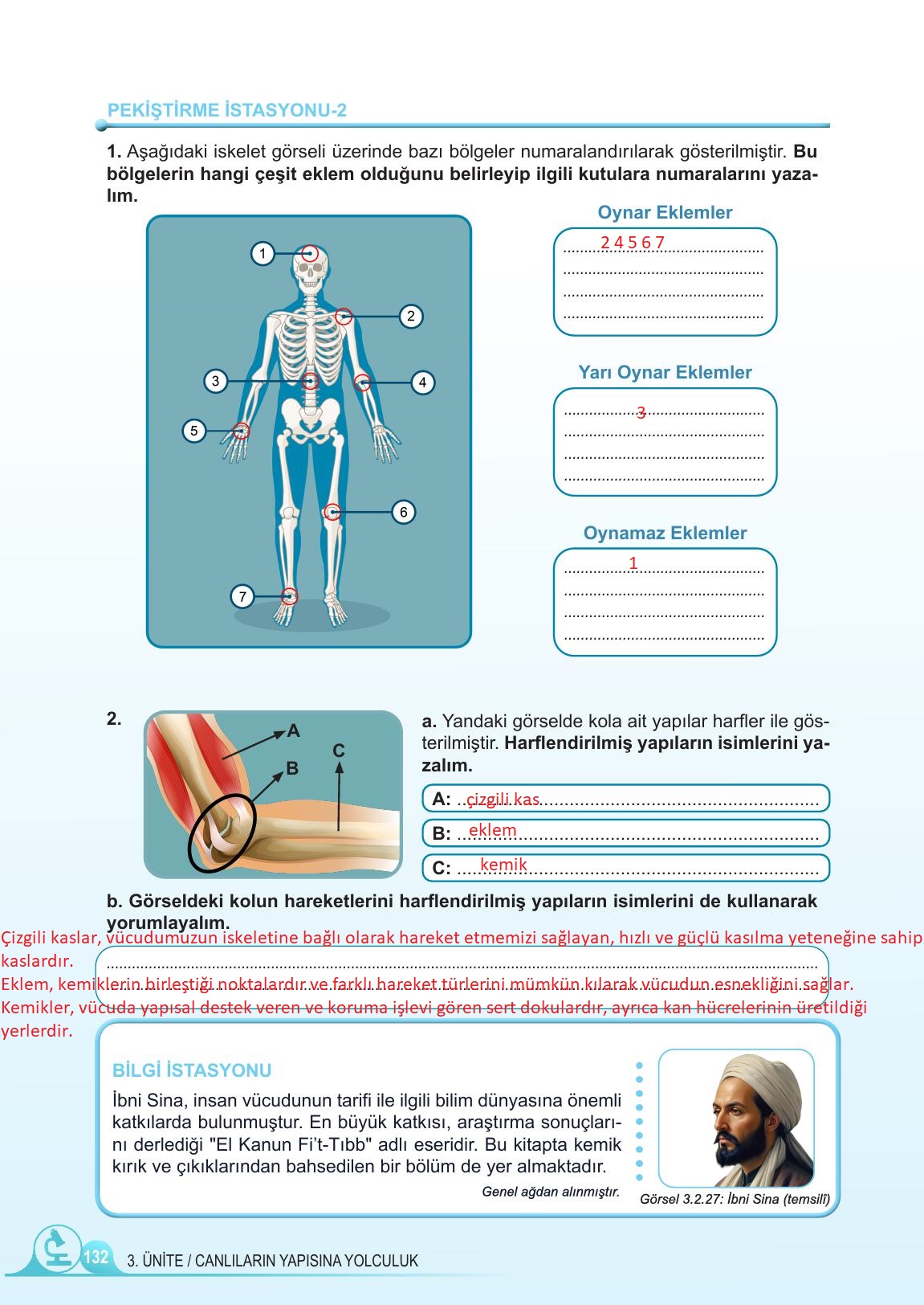 5. Sınıf Meb Yayınları Fen Bilimleri Ders Kitabı Sayfa 132 Cevapları