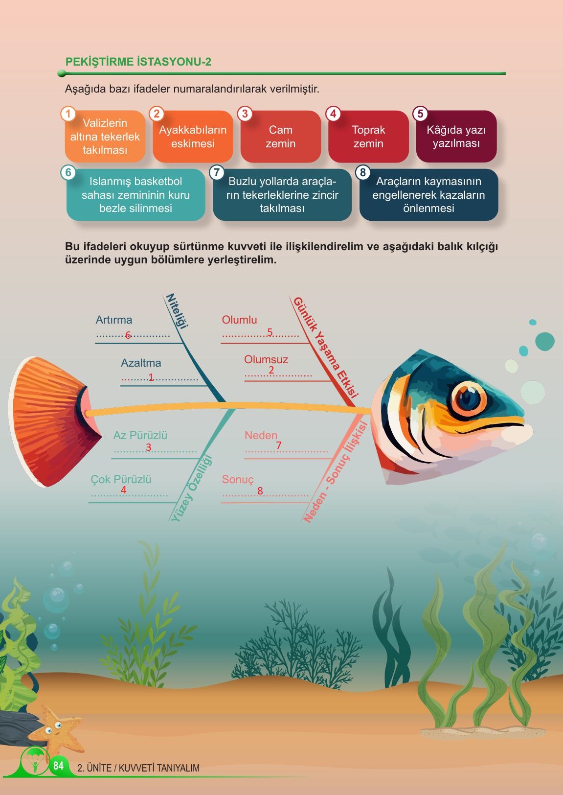 5. Sınıf Meb Yayınları Fen Bilimleri Ders Kitabı Sayfa 84 Cevapları