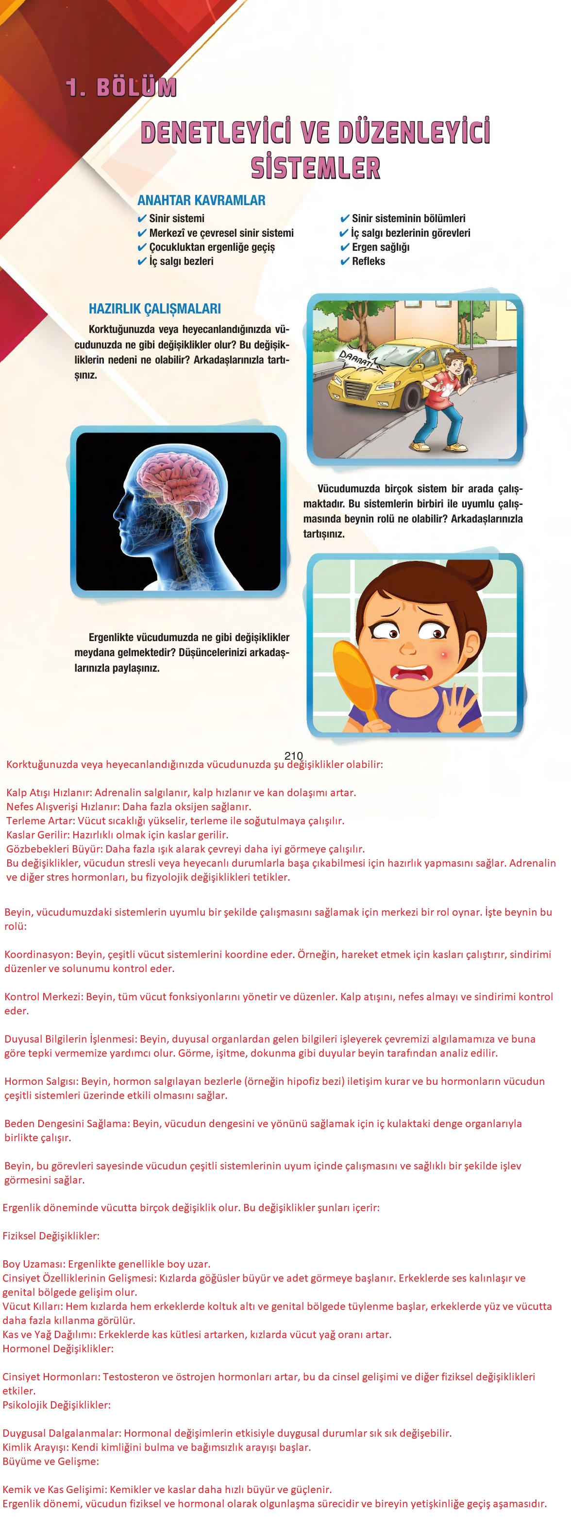 6. Sınıf Gün Yayıncılık Fen Bilimleri Ders Kitabı Sayfa 210 Cevapları