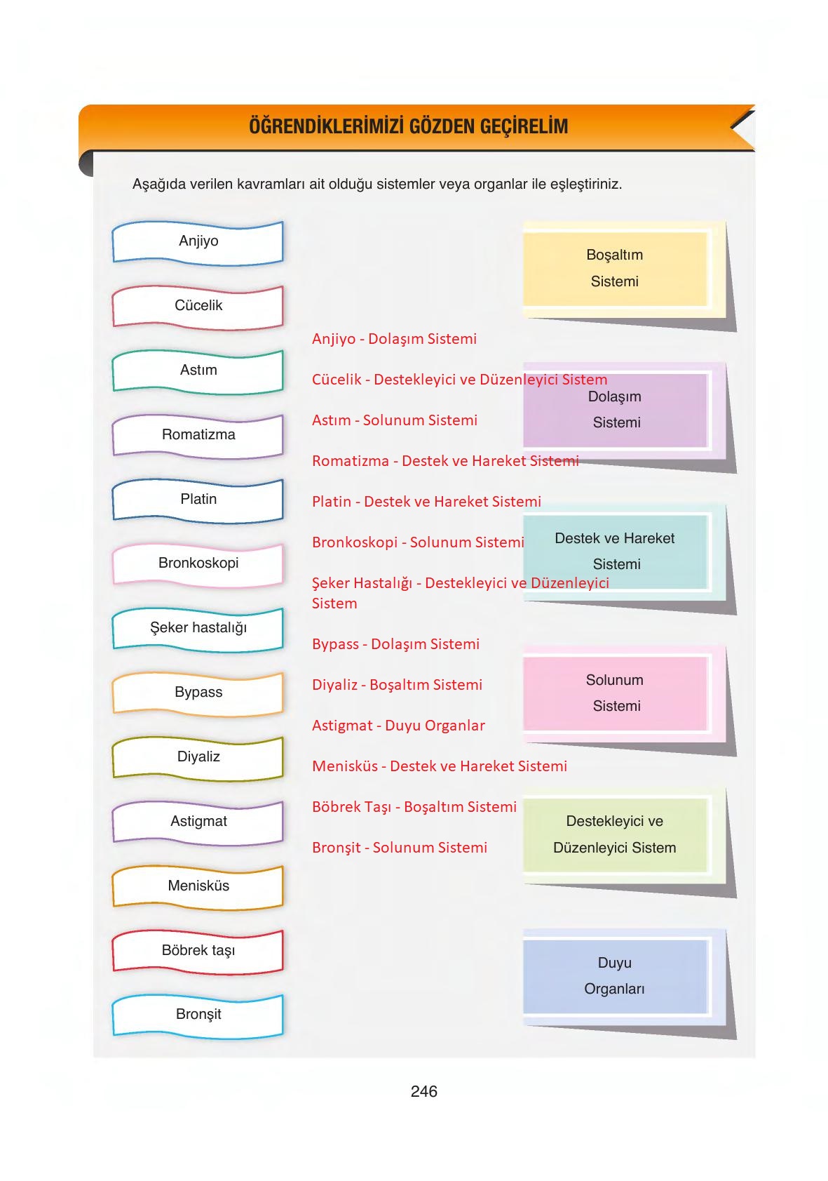 6. Sınıf Gün Yayıncılık Fen Bilimleri Ders Kitabı Sayfa 246 Cevapları