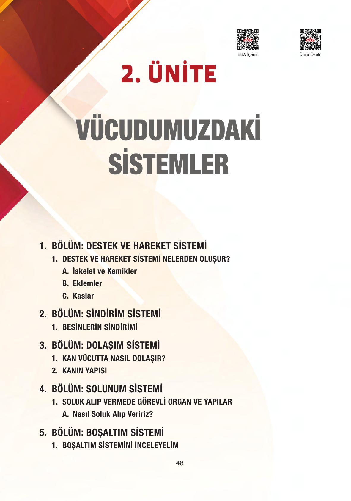 6. Sınıf Gün Yayıncılık Fen Bilimleri Ders Kitabı Sayfa 48 Cevapları