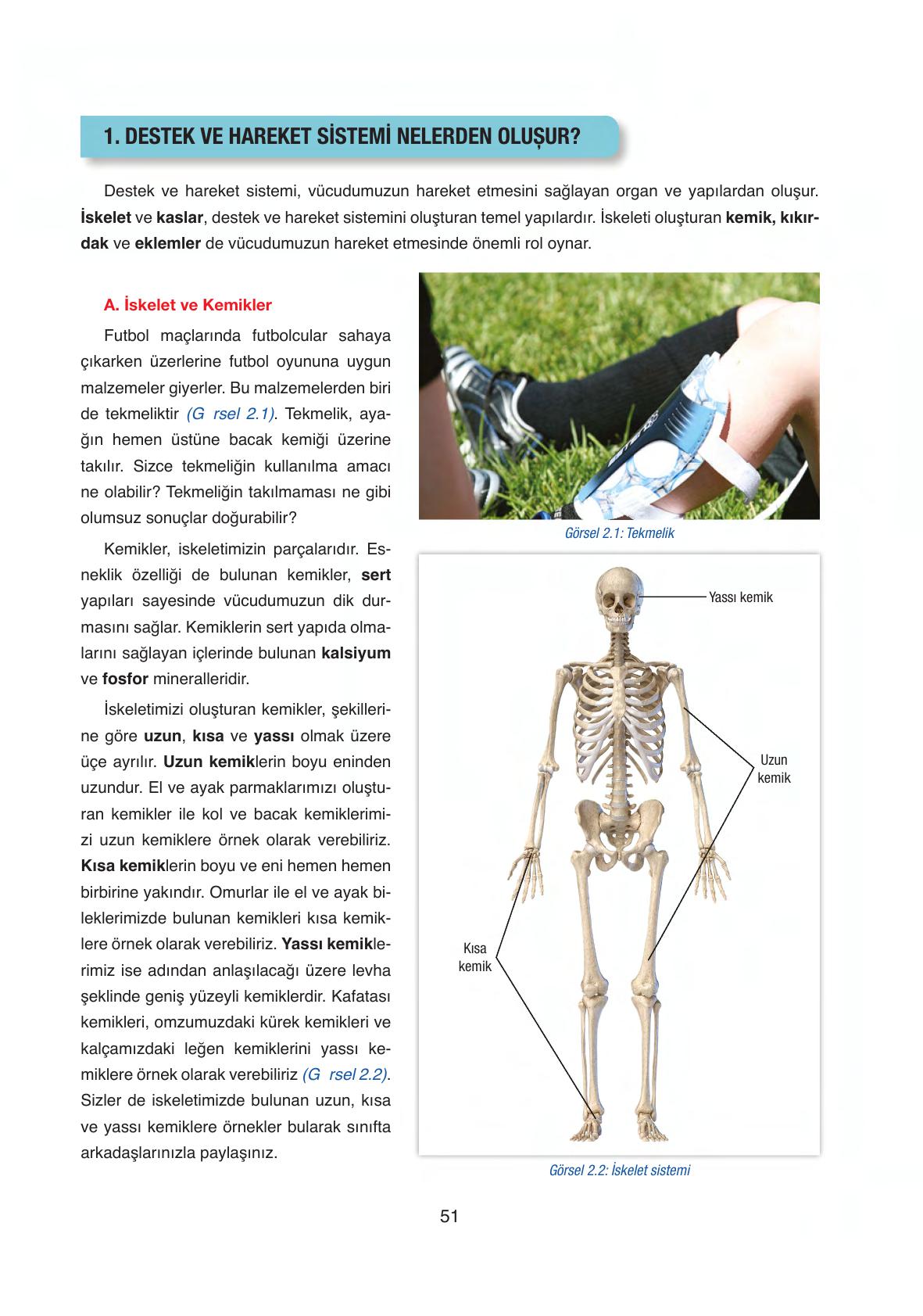 6. Sınıf Gün Yayıncılık Fen Bilimleri Ders Kitabı Sayfa 51 Cevapları