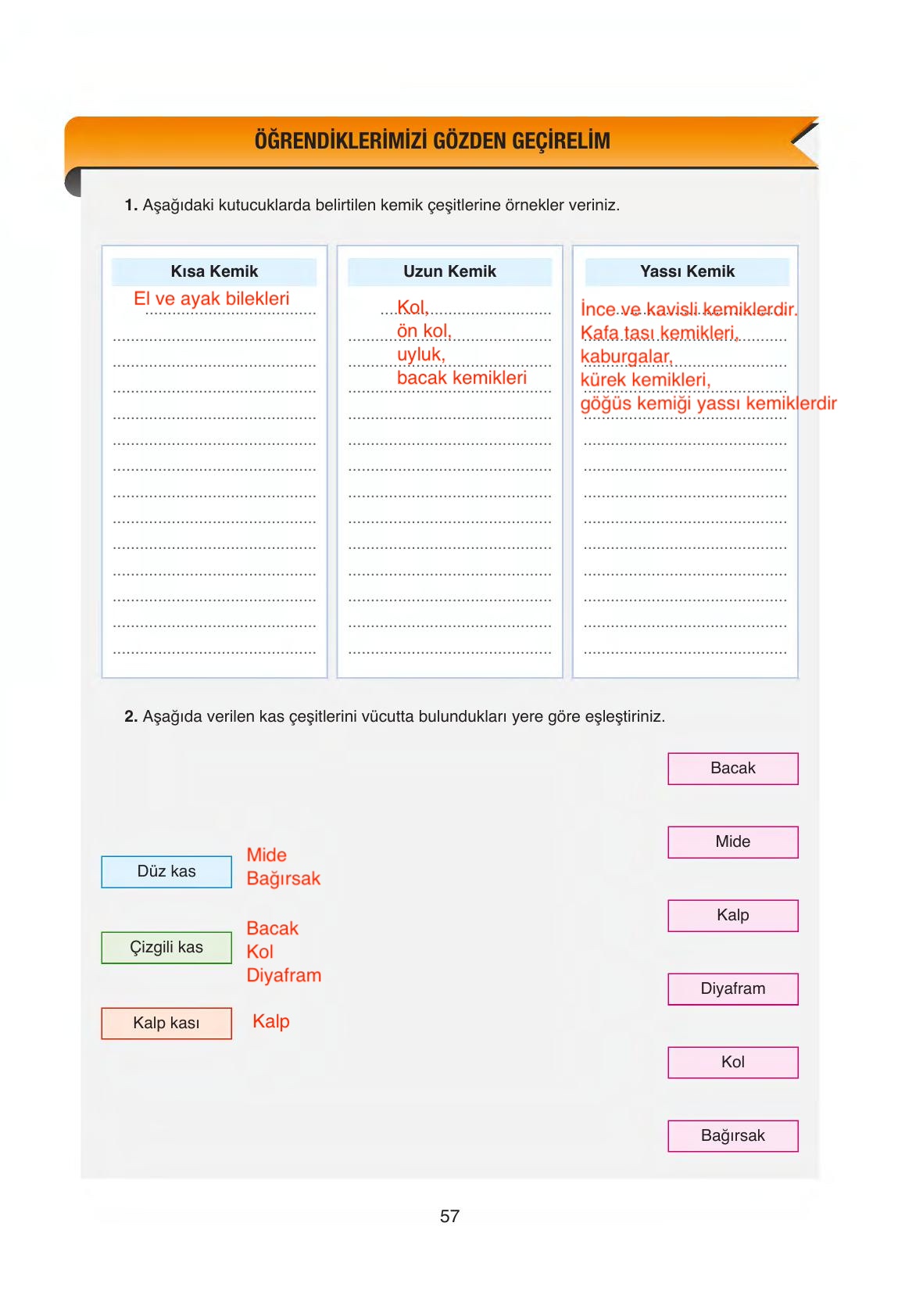 6. Sınıf Gün Yayıncılık Fen Bilimleri Ders Kitabı Sayfa 57 Cevapları 6. Sınıf Gün Yayıncılık Fen Bilimleri Ders Kitabı Sayfa 57 Cevapları