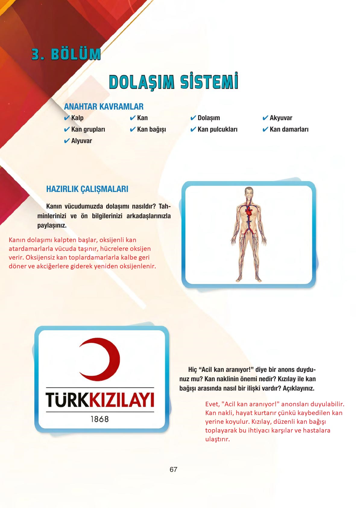 6. Sınıf Gün Yayıncılık Fen Bilimleri Ders Kitabı Sayfa 67 Cevapları