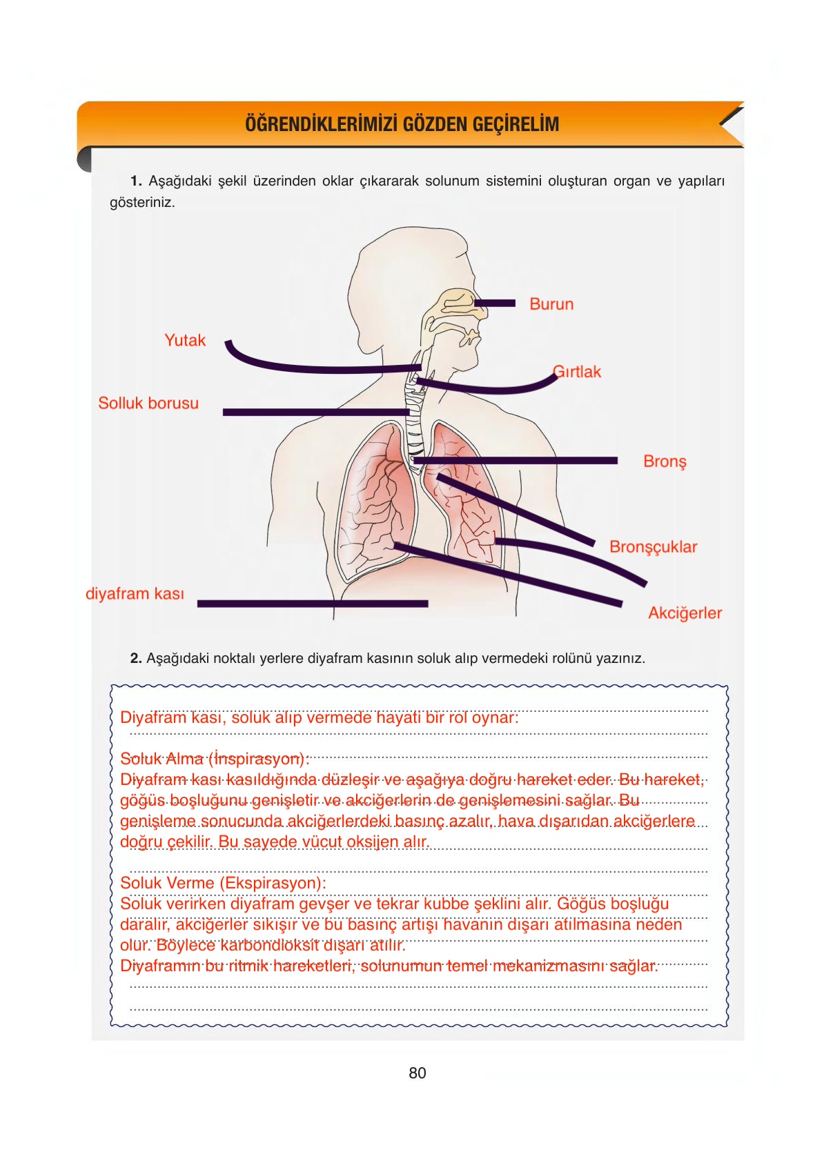 6. Sınıf Gün Yayıncılık Fen Bilimleri Ders Kitabı Sayfa 80 Cevapları