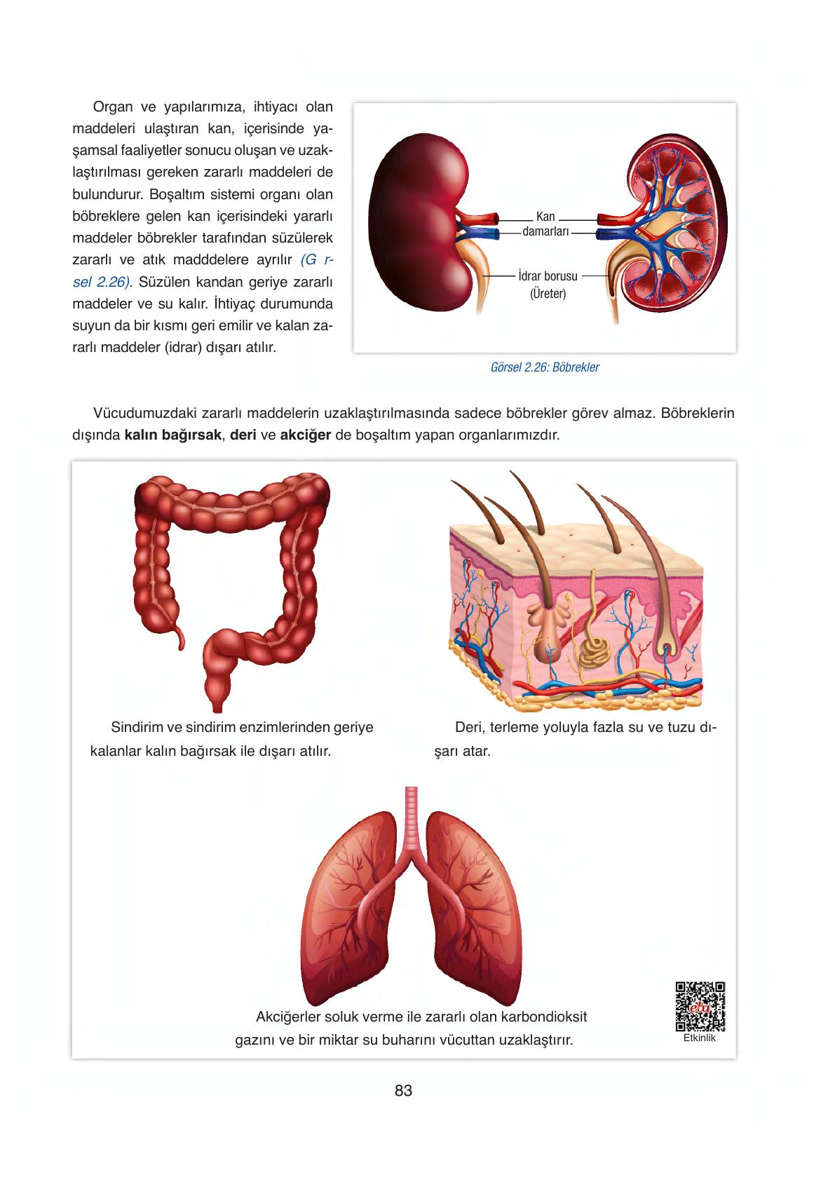 6. Sınıf Gün Yayıncılık Fen Bilimleri Ders Kitabı Sayfa 83 Cevapları