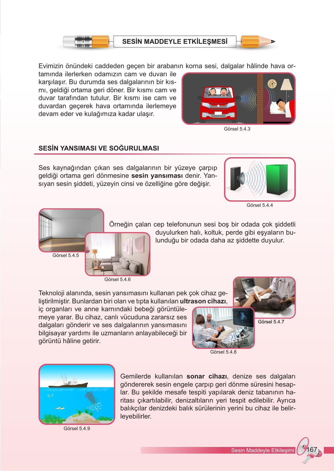 6. Sınıf Meb Yayınları Fen Bilimleri Ders Kitabı Sayfa 167 Cevapları