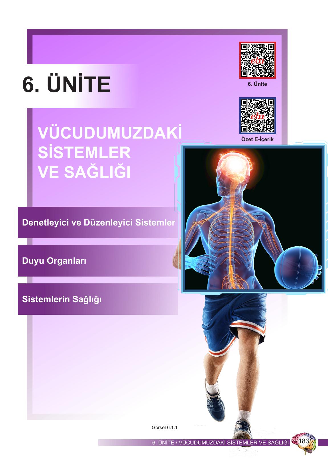 6. Sınıf Meb Yayınları Fen Bilimleri Ders Kitabı Sayfa 183 Cevapları