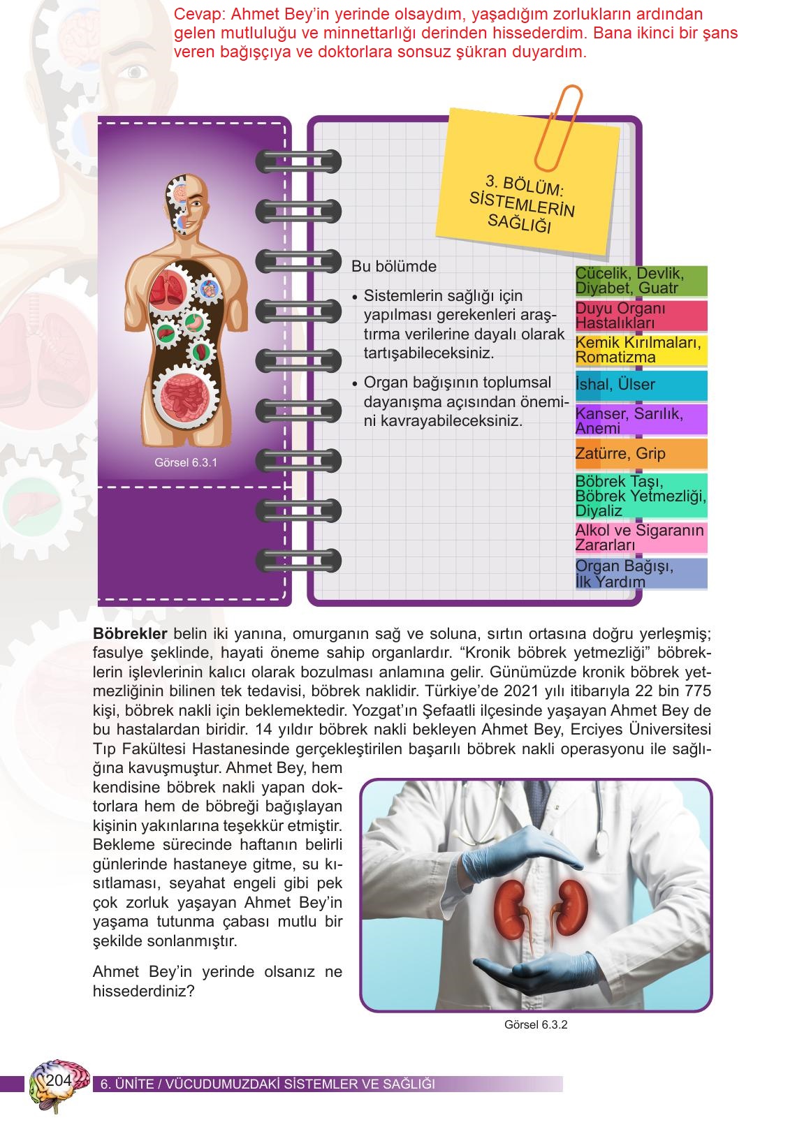 6. Sınıf Meb Yayınları Fen Bilimleri Ders Kitabı Sayfa 204 Cevapları