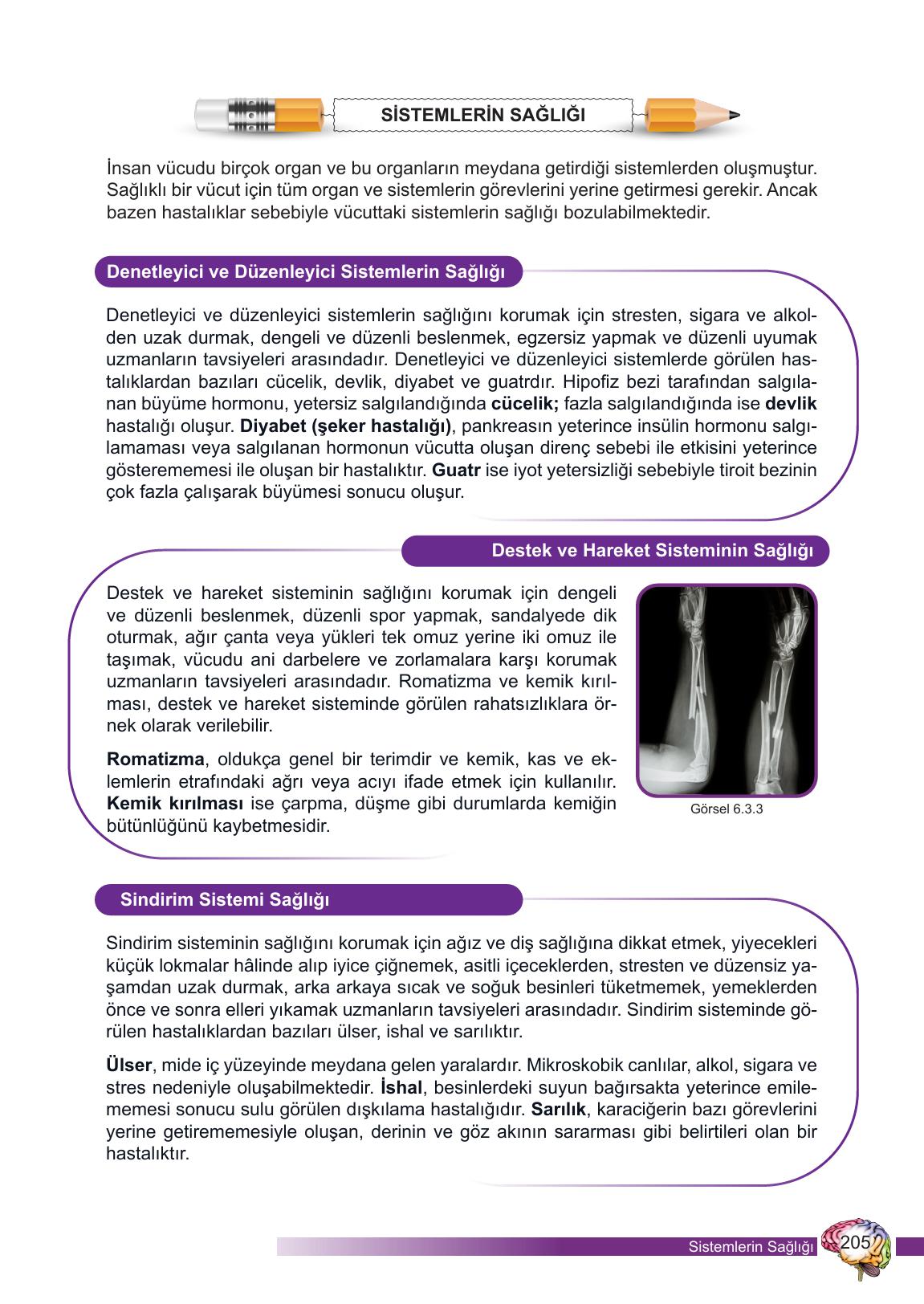 6. Sınıf Meb Yayınları Fen Bilimleri Ders Kitabı Sayfa 205 Cevapları 6. Sınıf Meb Yayınları Fen Bilimleri Ders Kitabı Sayfa 205 Cevapları
