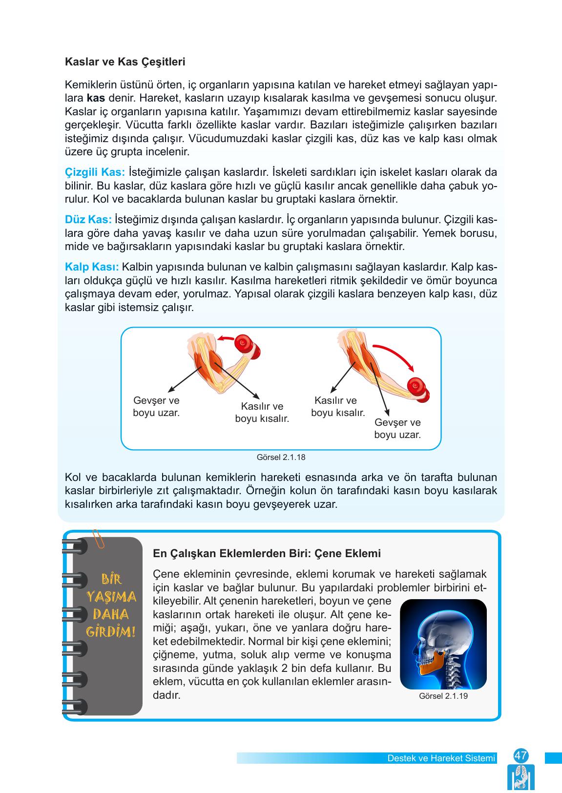 6. Sınıf Meb Yayınları Fen Bilimleri Ders Kitabı Sayfa 47 Cevapları