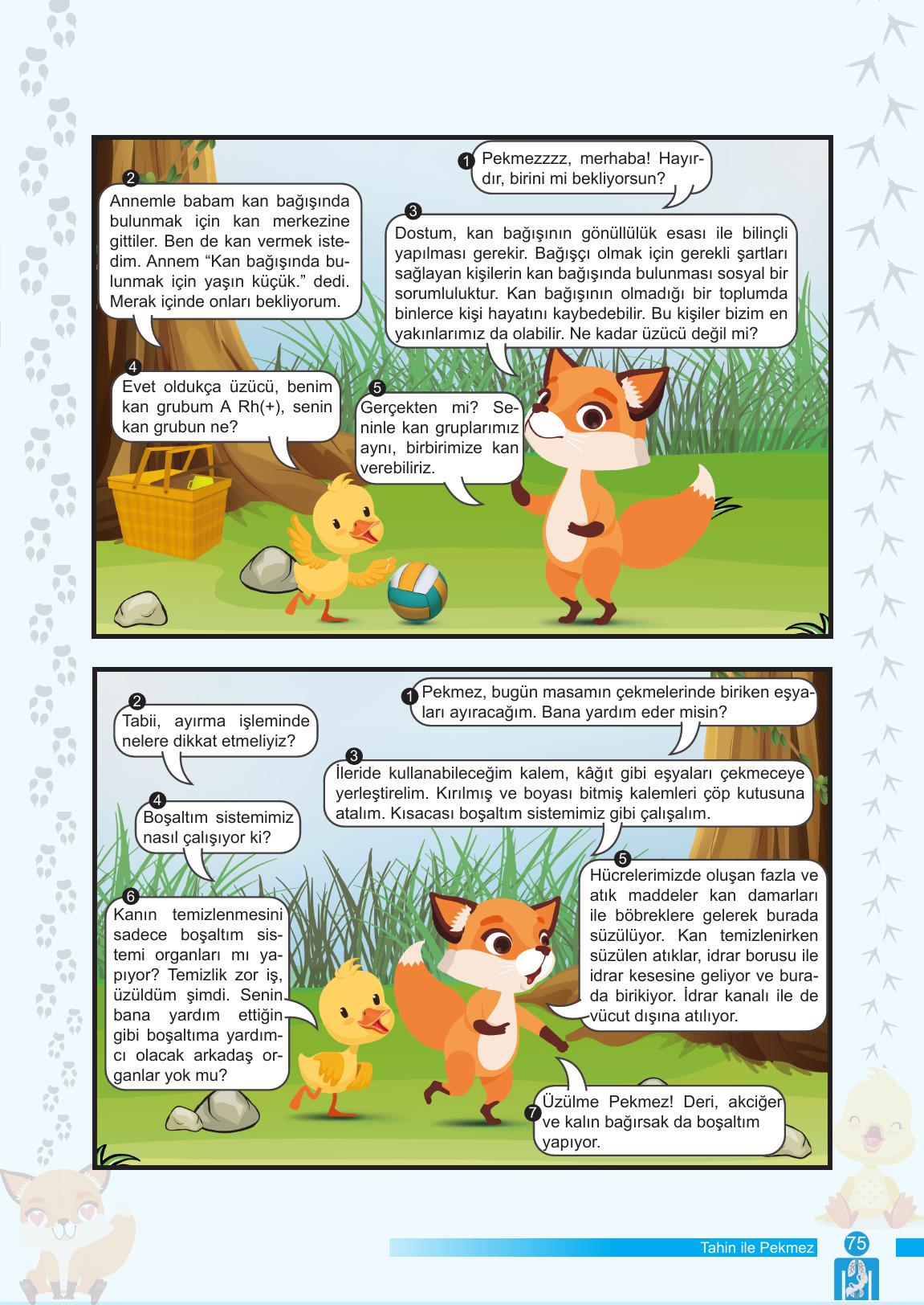 6. Sınıf Meb Yayınları Fen Bilimleri Ders Kitabı Sayfa 75 Cevapları