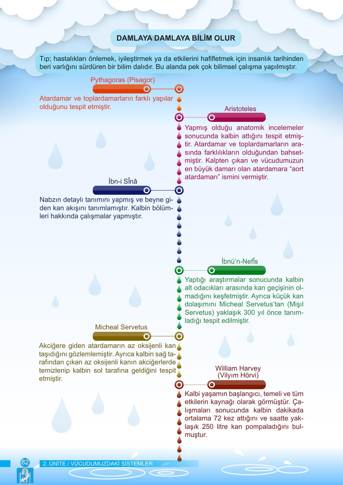 6. Sınıf Meb Yayınları Fen Bilimleri Ders Kitabı Sayfa 82 Cevapları 6. Sınıf Meb Yayınları Fen Bilimleri Ders Kitabı Sayfa 82 Cevapları