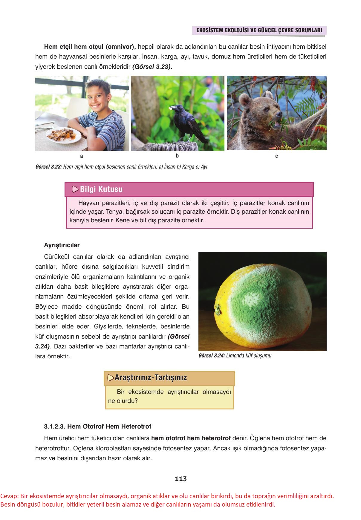 10. Sınıf Dörtel Yayınları Biyoloji Ders Kitabı Sayfa 113 Cevapları 10. Sınıf Dörtel Yayınları Biyoloji Ders Kitabı Sayfa 113 Cevapları