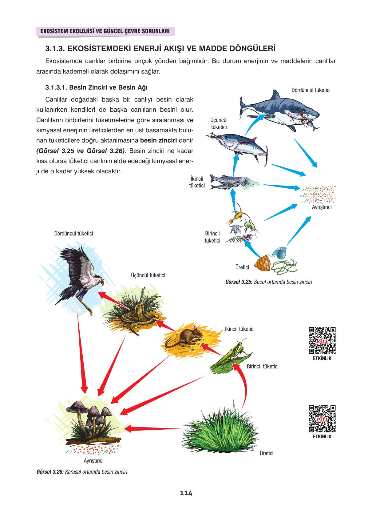 10. Sınıf Dörtel Yayınları Biyoloji Ders Kitabı Sayfa 114 Cevapları 10. Sınıf Dörtel Yayınları Biyoloji Ders Kitabı Sayfa 114 Cevapları