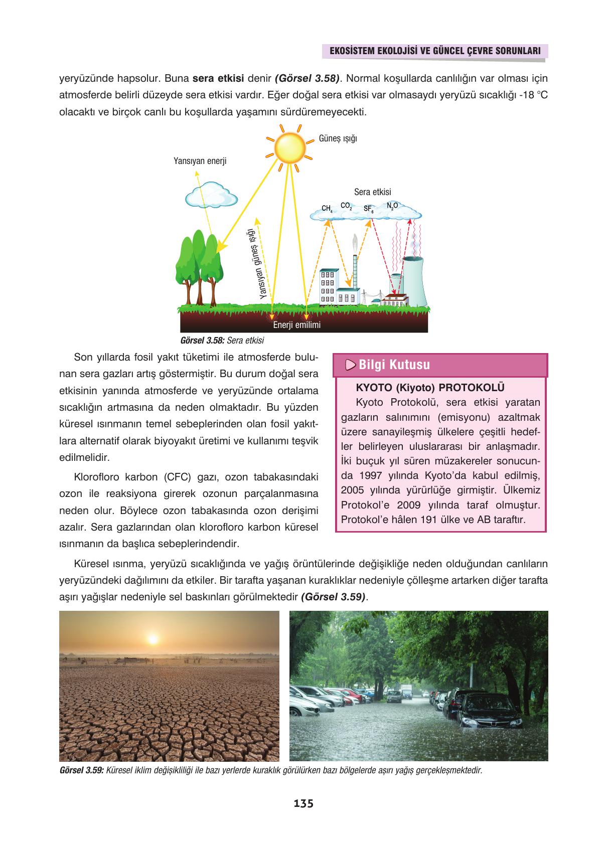 10. Sınıf Dörtel Yayınları Biyoloji Ders Kitabı Sayfa 135 Cevapları 10. Sınıf Dörtel Yayınları Biyoloji Ders Kitabı Sayfa 135 Cevapları
