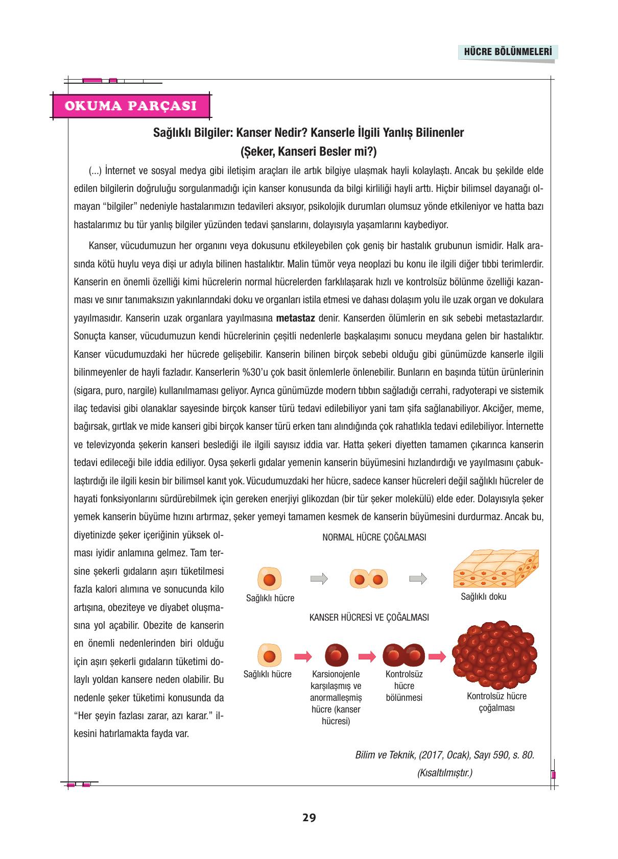 10. Sınıf Dörtel Yayınları Biyoloji Ders Kitabı Sayfa 29 Cevapları