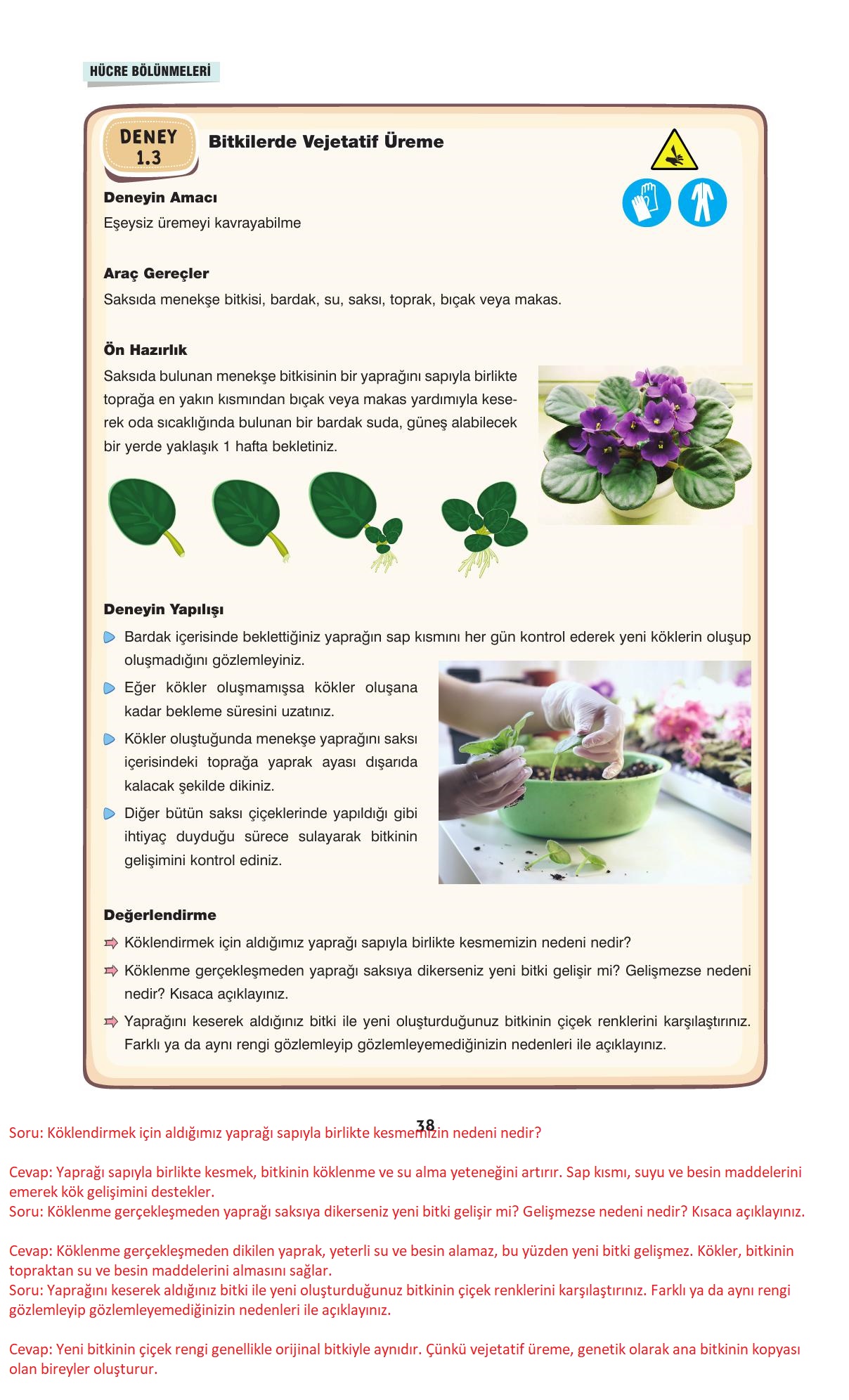 10. Sınıf Dörtel Yayınları Biyoloji Ders Kitabı Sayfa 38 Cevapları 10. Sınıf Dörtel Yayınları Biyoloji Ders Kitabı Sayfa 38 Cevapları