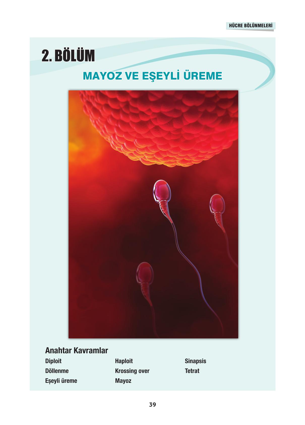 10. Sınıf Dörtel Yayınları Biyoloji Ders Kitabı Sayfa 39 Cevapları 10. Sınıf Dörtel Yayınları Biyoloji Ders Kitabı Sayfa 39 Cevapları