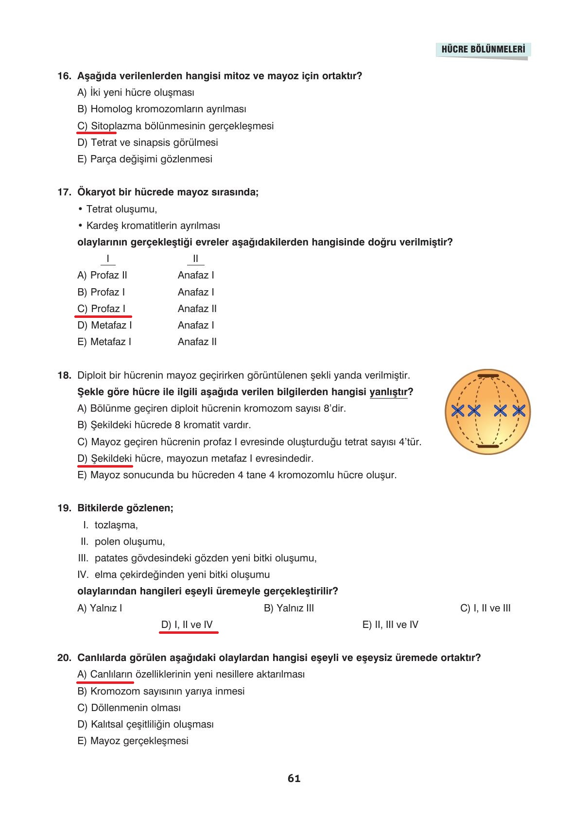 10. Sınıf Dörtel Yayınları Biyoloji Ders Kitabı Sayfa 61 Cevapları
