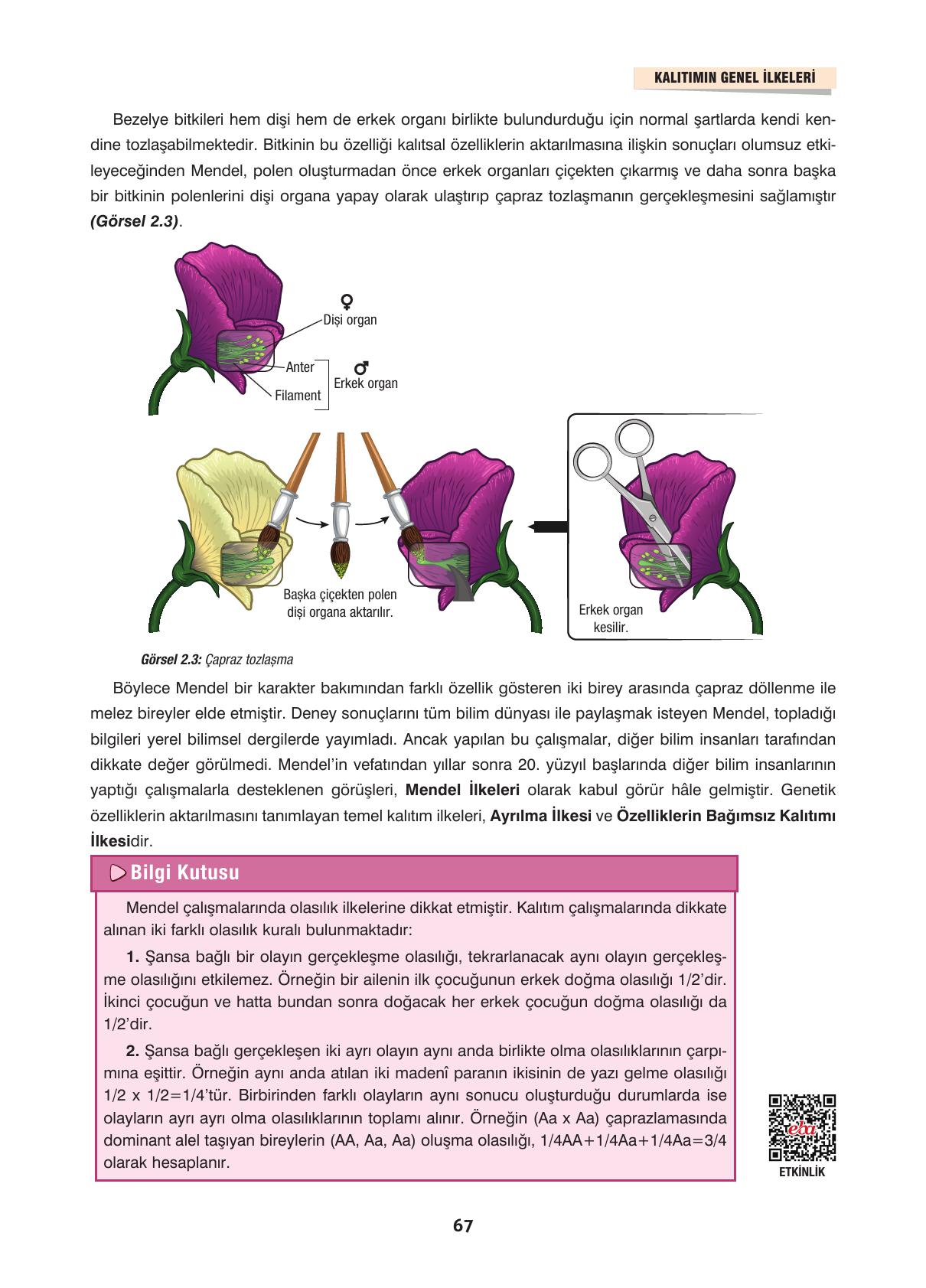 10. Sınıf Dörtel Yayınları Biyoloji Ders Kitabı Sayfa 67 Cevapları 10. Sınıf Dörtel Yayınları Biyoloji Ders Kitabı Sayfa 67 Cevapları