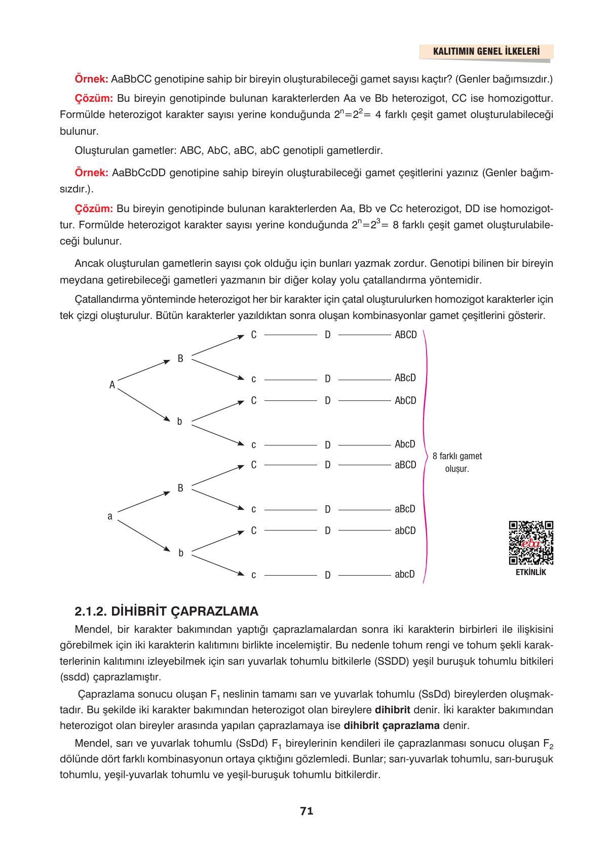 10. Sınıf Dörtel Yayınları Biyoloji Ders Kitabı Sayfa 71 Cevapları