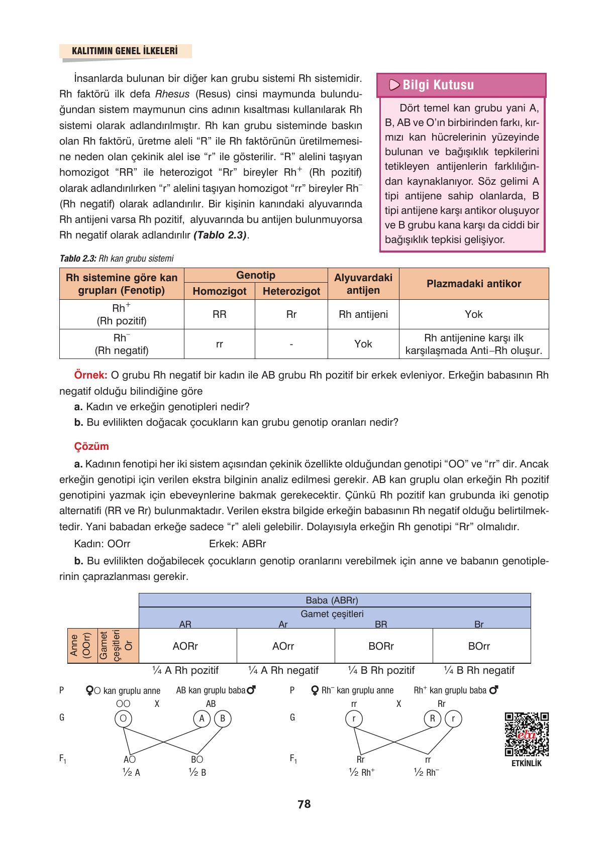 10. Sınıf Dörtel Yayınları Biyoloji Ders Kitabı Sayfa 78 Cevapları 10. Sınıf Dörtel Yayınları Biyoloji Ders Kitabı Sayfa 78 Cevapları
