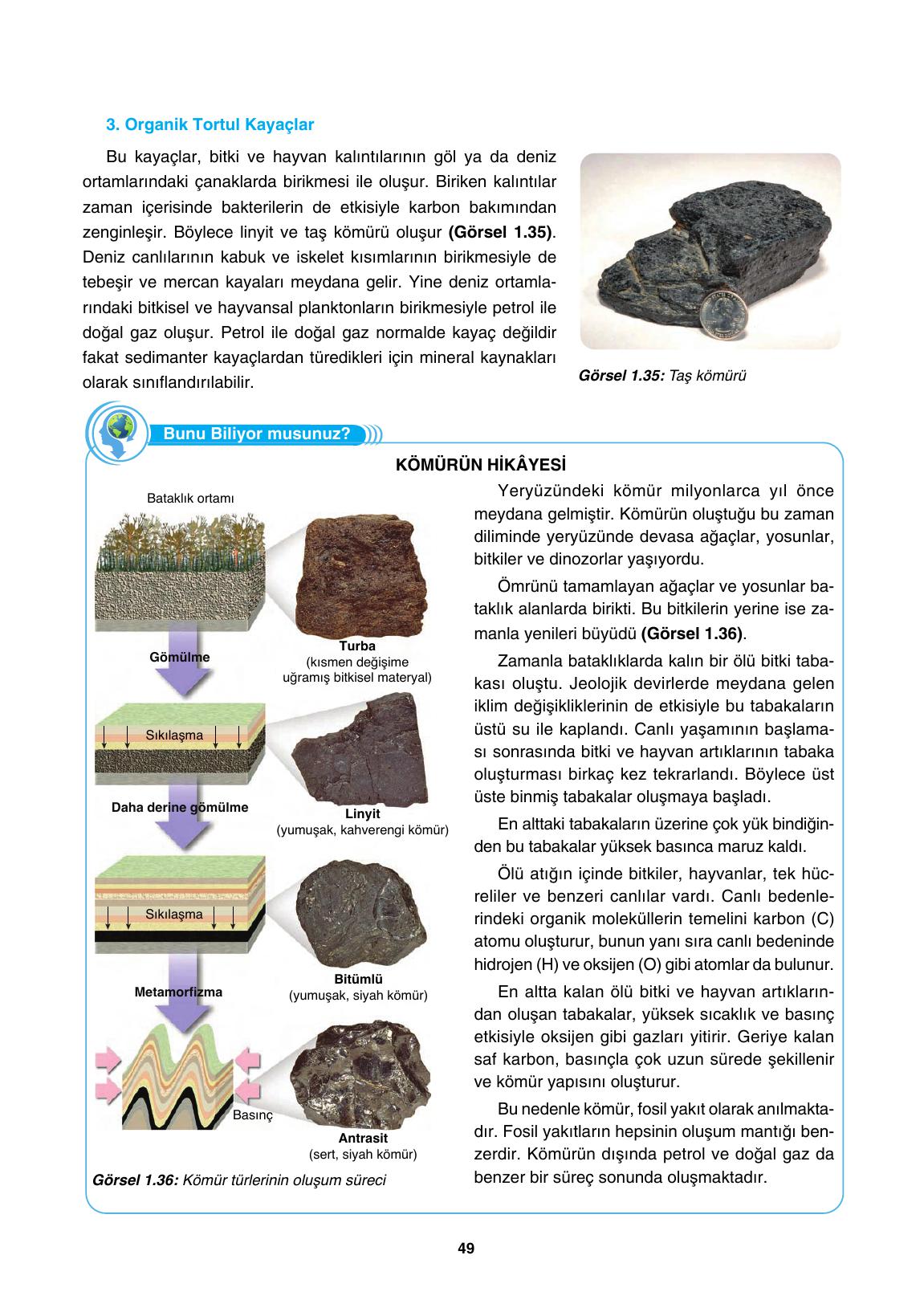 10. Sınıf Tutku Yayıncılık Coğrafya Ders Kitabı Sayfa 49 Cevapları 10. Sınıf Tutku Yayıncılık Coğrafya Ders Kitabı Sayfa 49 Cevapları