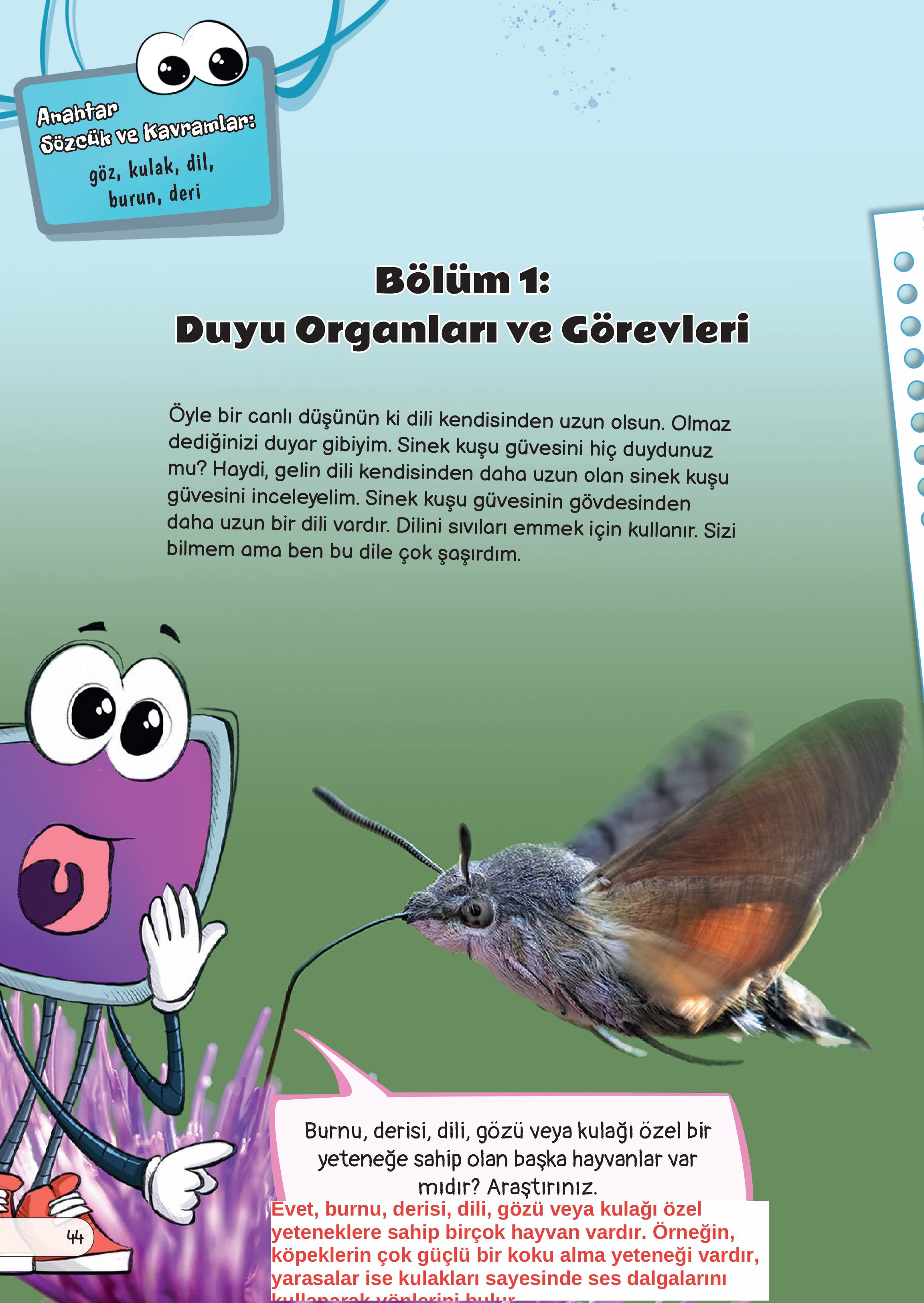 3. Sınıf Meb Yayınları Fen Bilimleri Ders Kitabı Sayfa 44 Cevapları 3. Sınıf Meb Yayınları Fen Bilimleri Ders Kitabı Sayfa 44 Cevapları