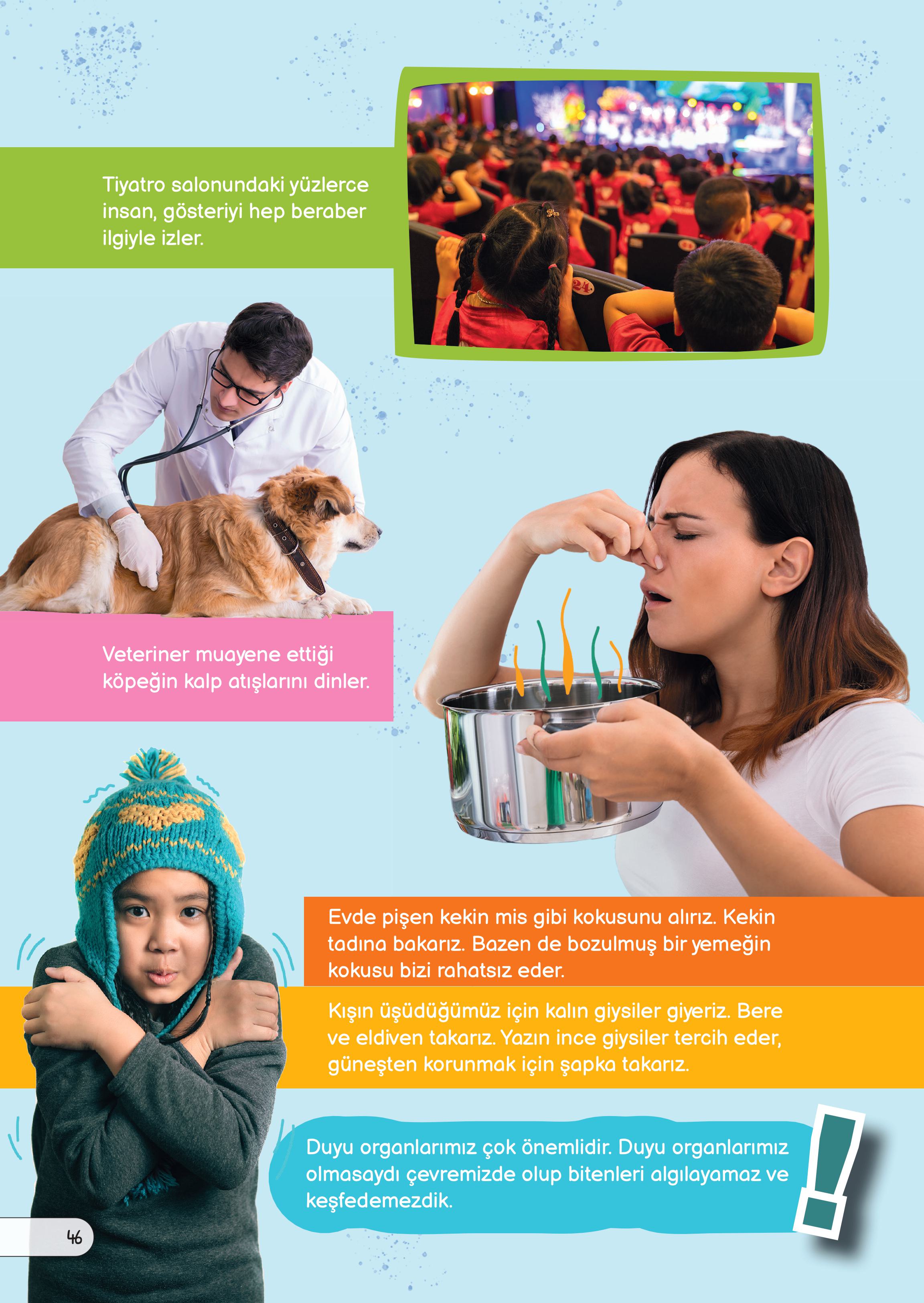 3. Sınıf Meb Yayınları Fen Bilimleri Ders Kitabı Sayfa 46 Cevapları 3. Sınıf Meb Yayınları Fen Bilimleri Ders Kitabı Sayfa 46 Cevapları