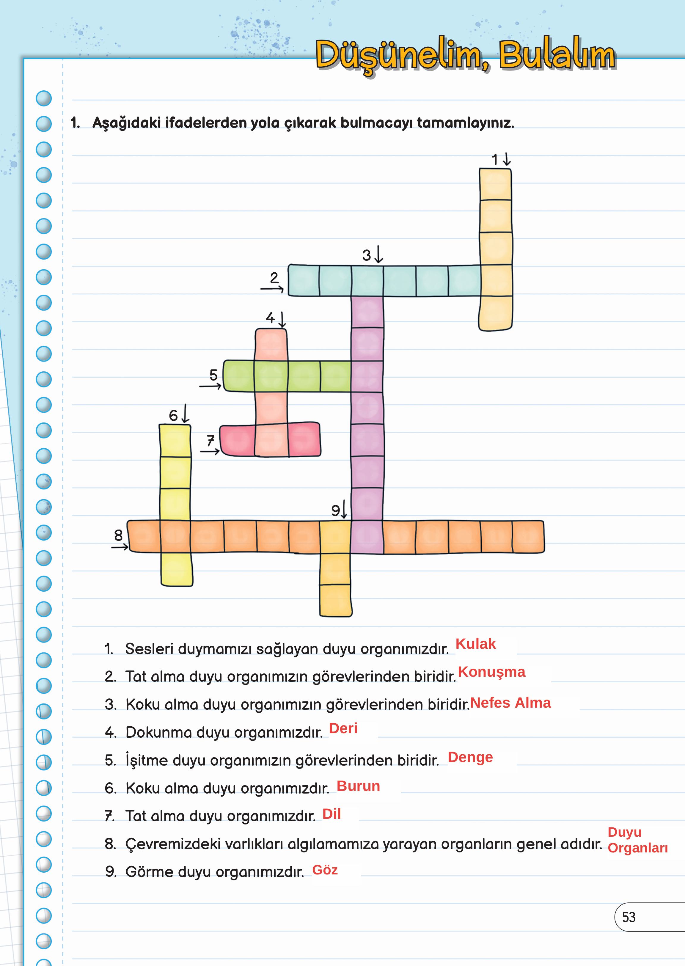 3. Sınıf Meb Yayınları Fen Bilimleri Ders Kitabı Sayfa 53 Cevapları