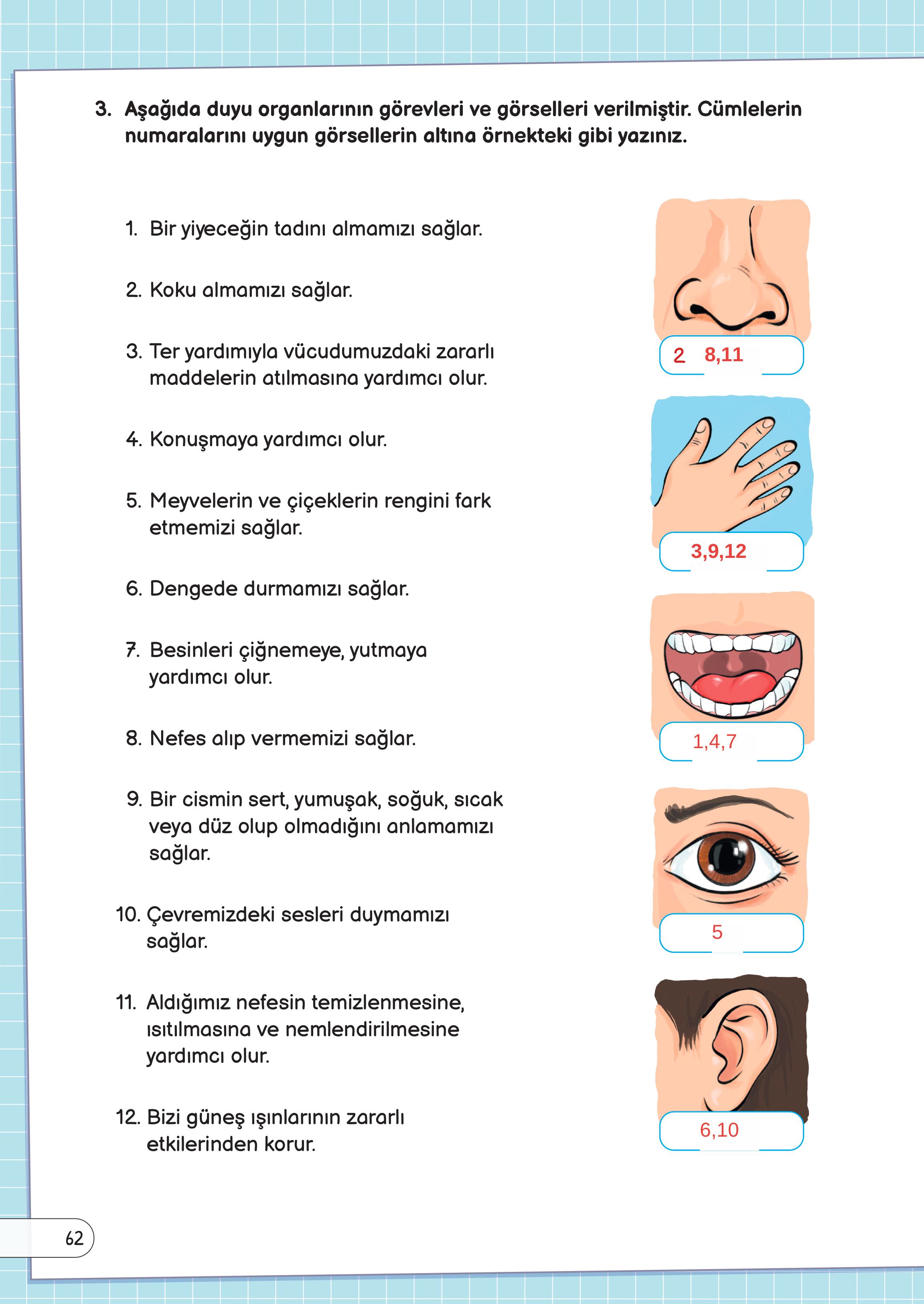 3. Sınıf Meb Yayınları Fen Bilimleri Ders Kitabı Sayfa 62 Cevapları