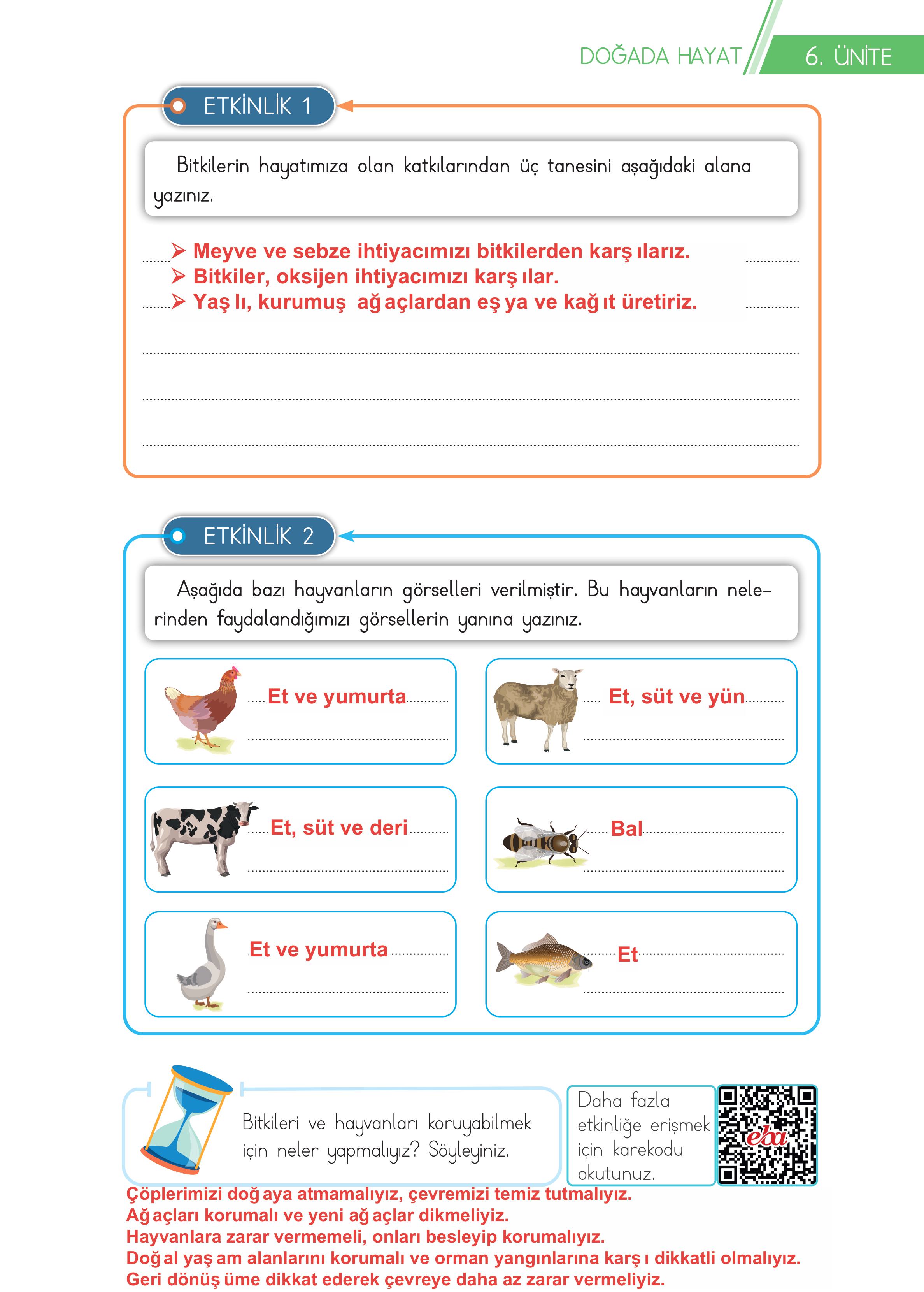 3. Sınıf Meb Yayınları Hayat Bilgisi Ders Kitabı Sayfa 189 Cevapları