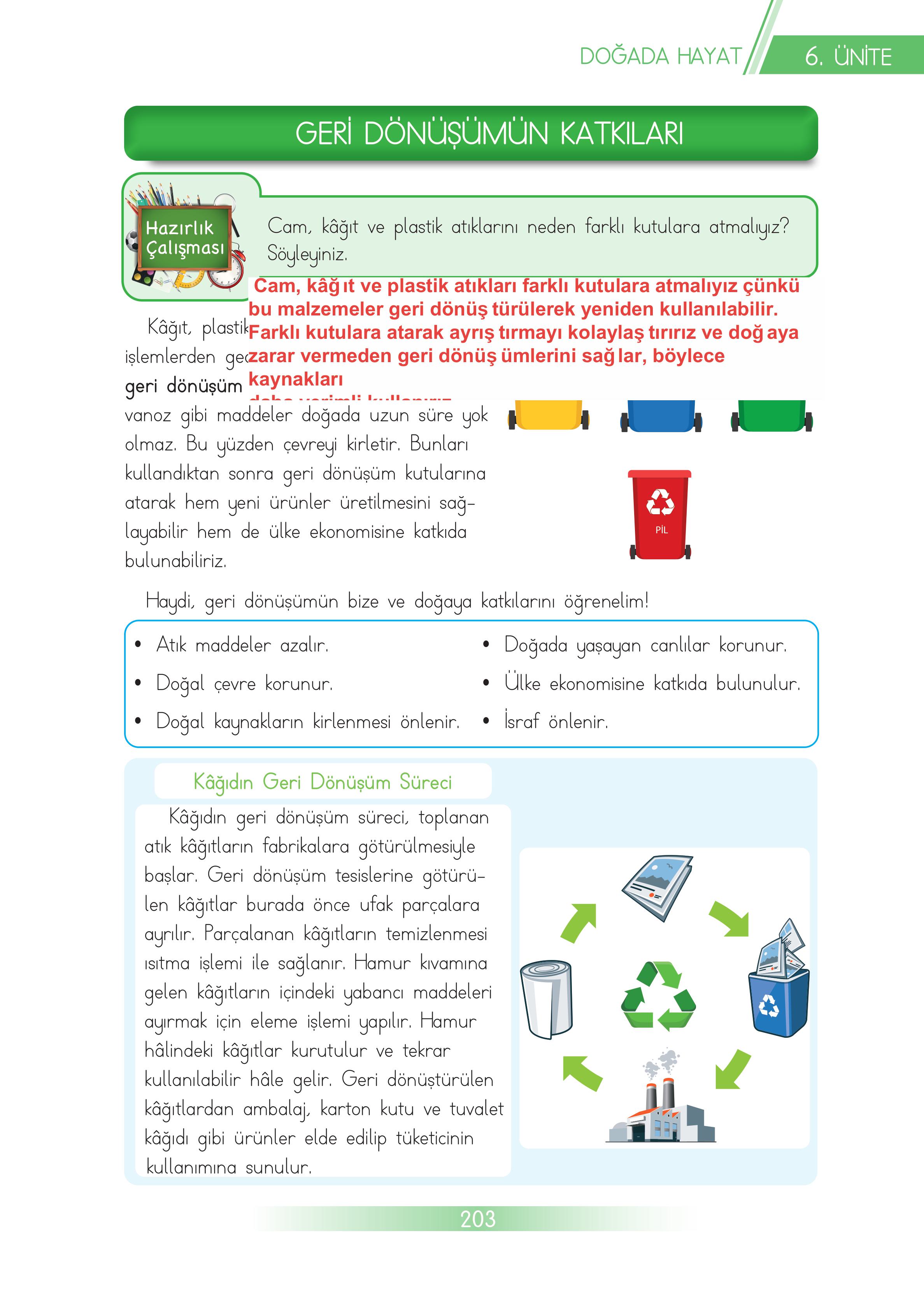 3. Sınıf Meb Yayınları Hayat Bilgisi Ders Kitabı Sayfa 203 Cevapları