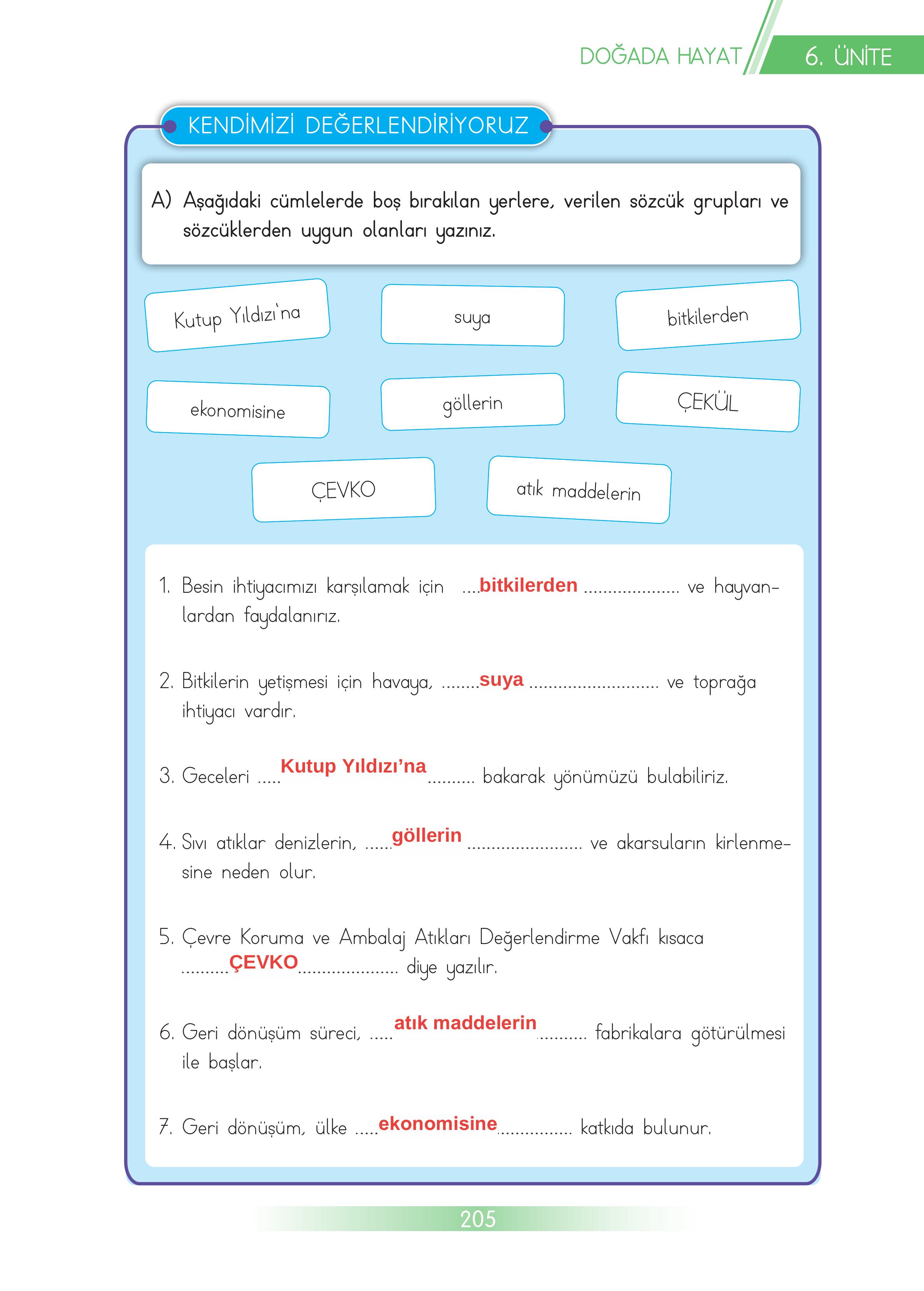 3. Sınıf Meb Yayınları Hayat Bilgisi Ders Kitabı Sayfa 205 Cevapları