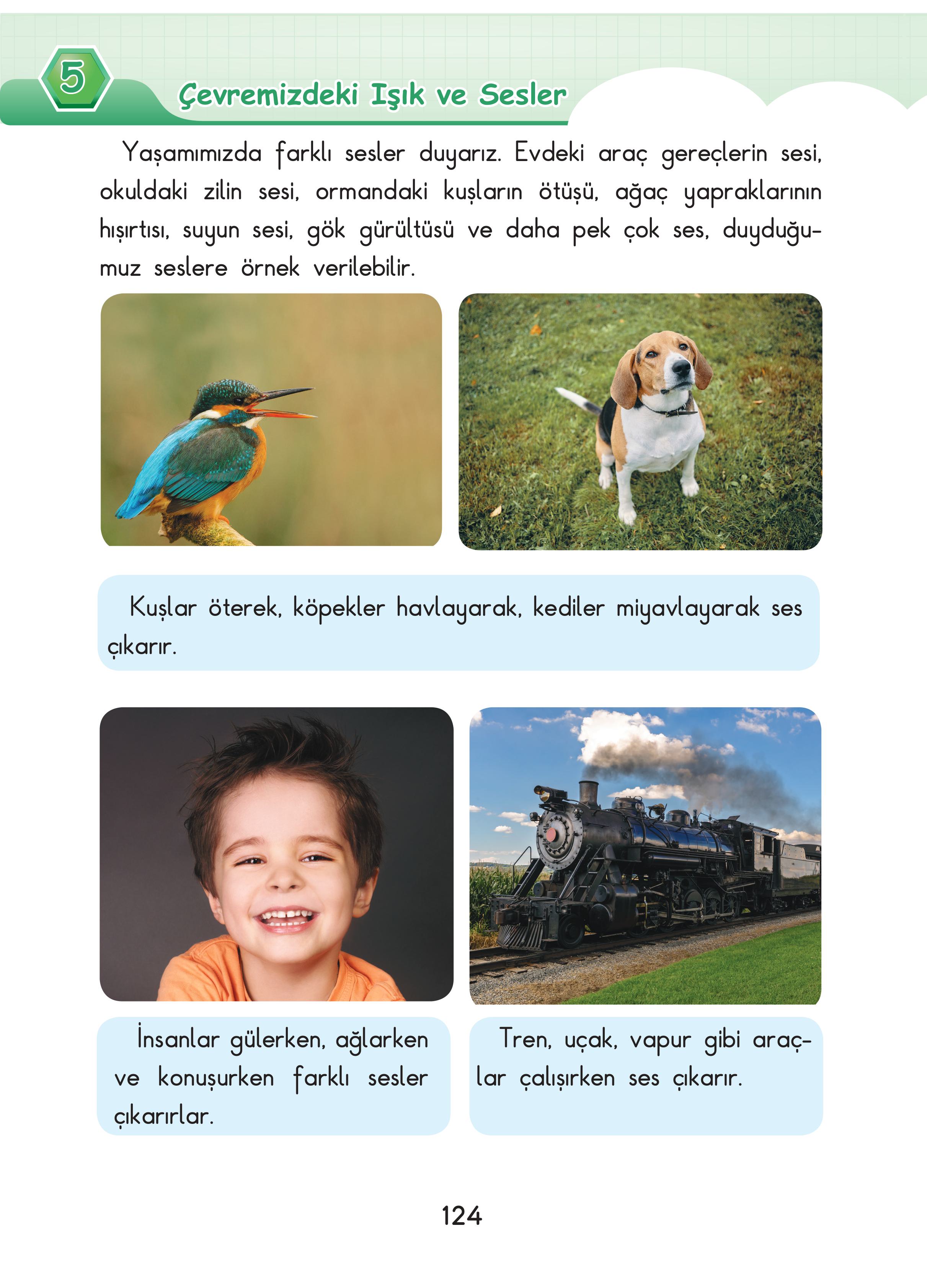 3. Sınıf Sdr Dikey Yayıncılık Fen Bilimleri Ders Kitabı Sayfa 124 Cevapları 3. Sınıf Sdr Dikey Yayıncılık Fen Bilimleri Ders Kitabı Sayfa 124 Cevapları
