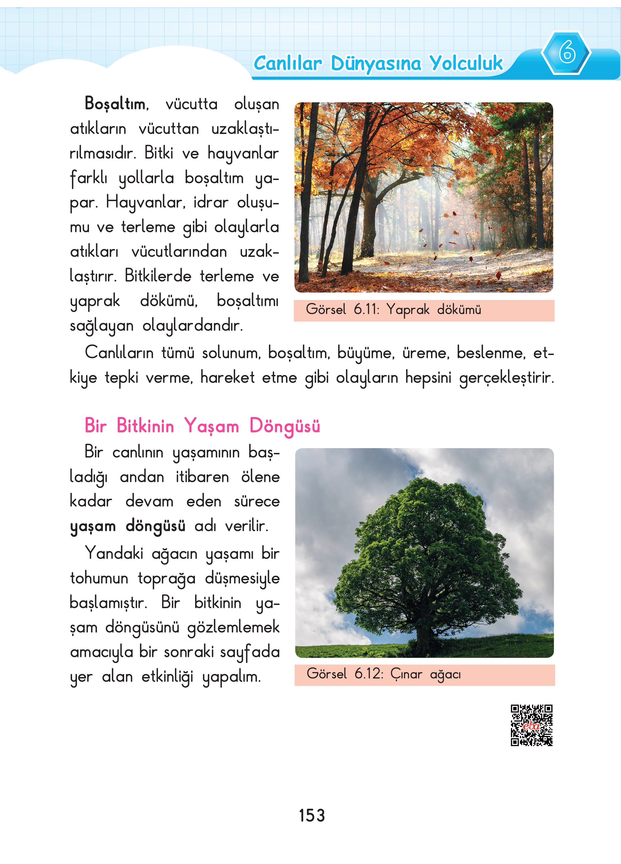 3. Sınıf Sdr Dikey Yayıncılık Fen Bilimleri Ders Kitabı Sayfa 153 Cevapları 3. Sınıf Sdr Dikey Yayıncılık Fen Bilimleri Ders Kitabı Sayfa 153 Cevapları