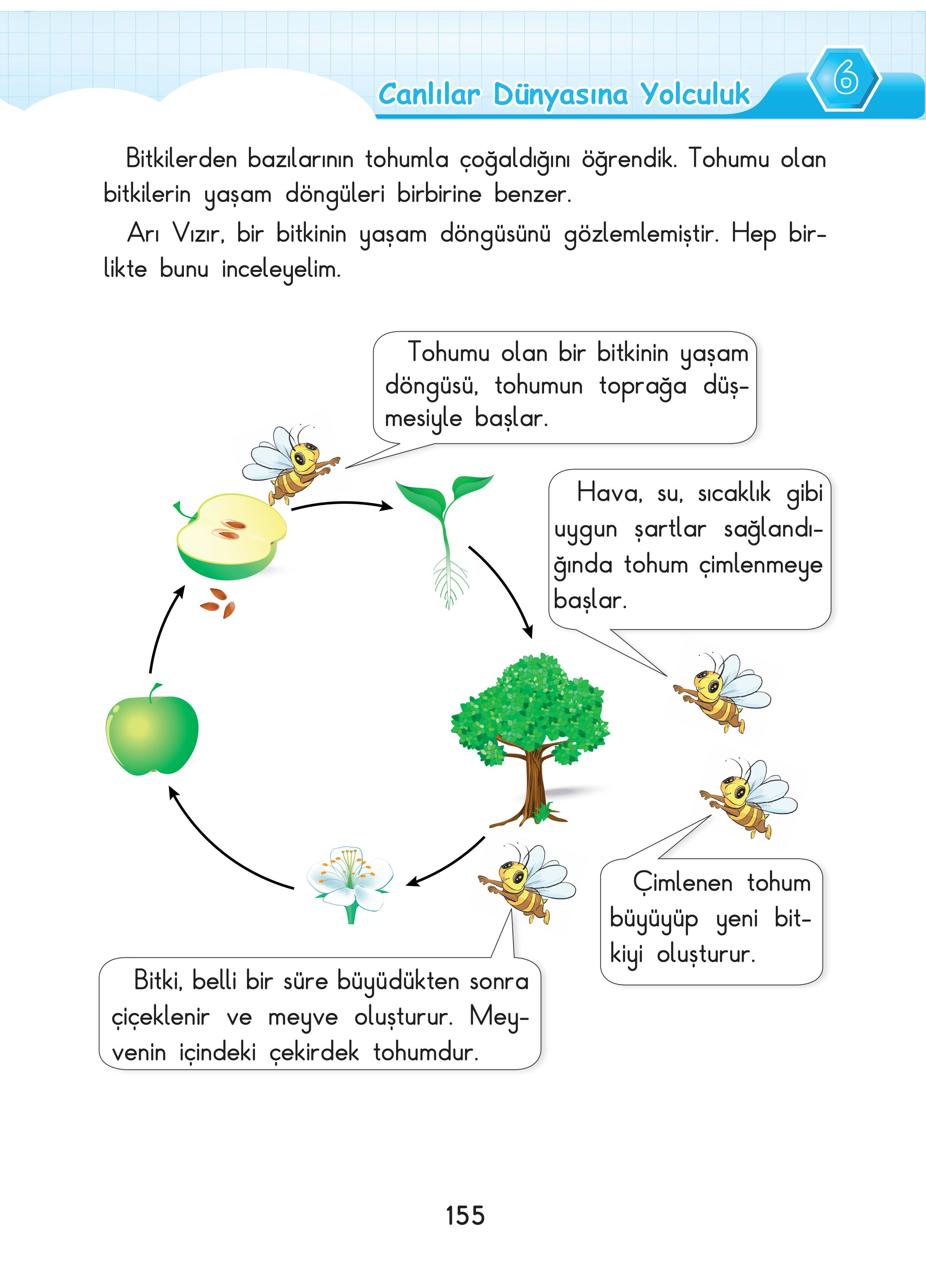 3. Sınıf Sdr Dikey Yayıncılık Fen Bilimleri Ders Kitabı Sayfa 155 Cevapları