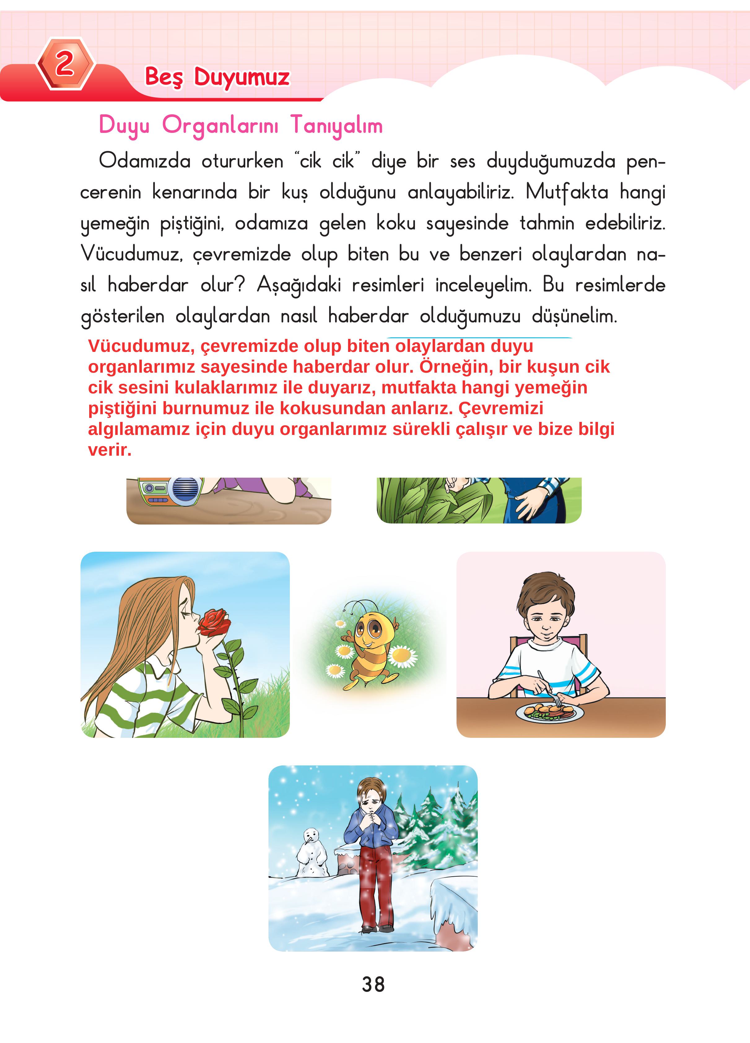 3. Sınıf Sdr Dikey Yayıncılık Fen Bilimleri Ders Kitabı Sayfa 38 Cevapları 3. Sınıf Sdr Dikey Yayıncılık Fen Bilimleri Ders Kitabı Sayfa 38 Cevapları