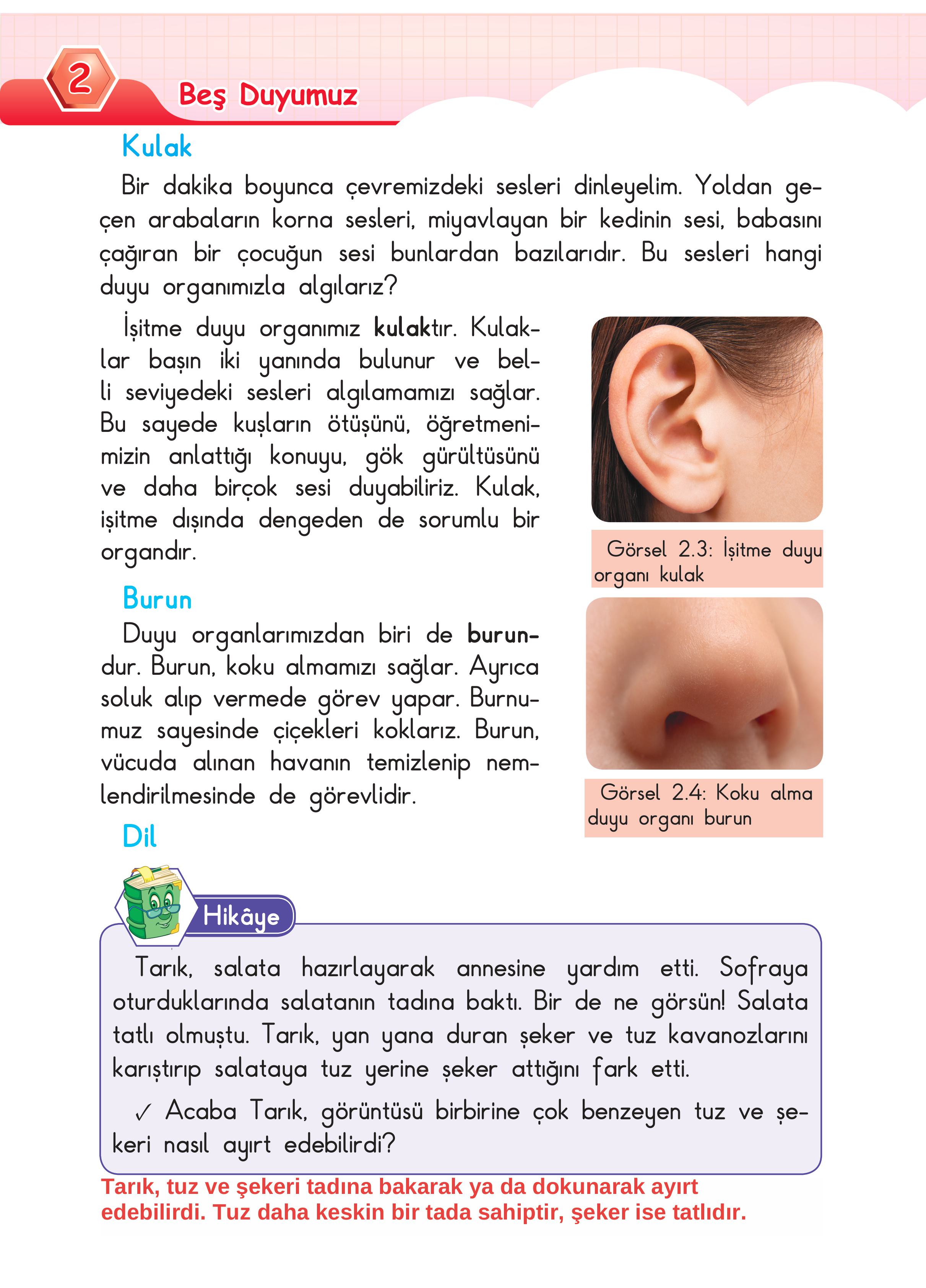 3. Sınıf Sdr Dikey Yayıncılık Fen Bilimleri Ders Kitabı Sayfa 40 Cevapları