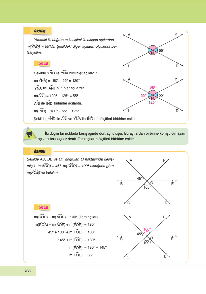 6. Sınıf Doğa Yayınları Matematik Ders Kitabı Sayfa 238 Cevapları