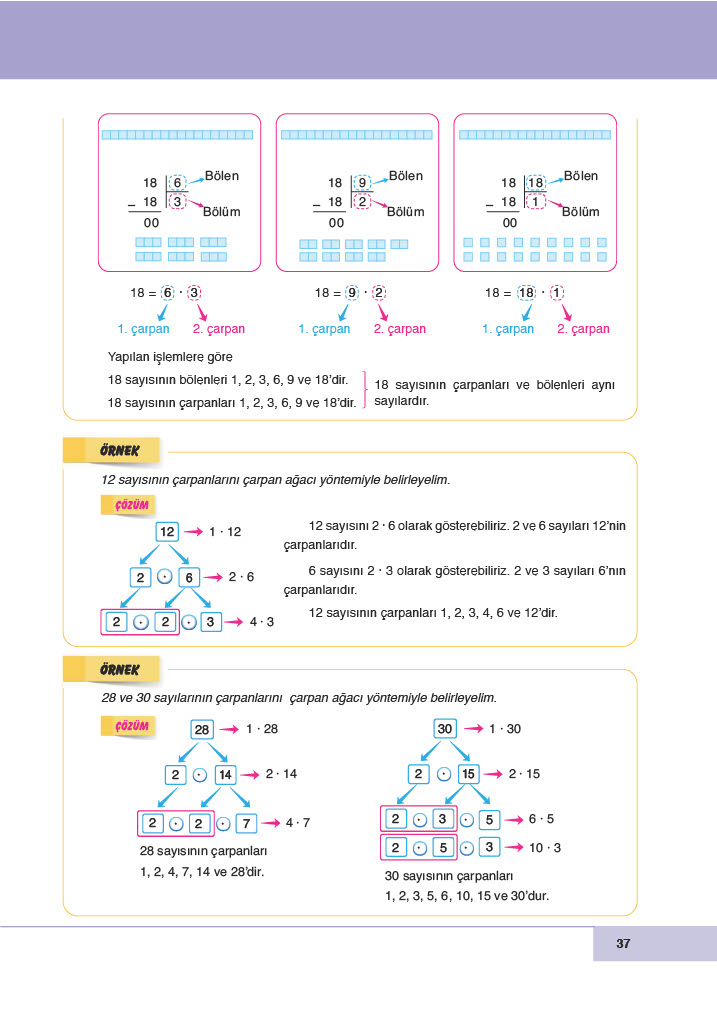 6. Sınıf Doğa Yayınları Matematik Ders Kitabı Sayfa 37 Cevapları