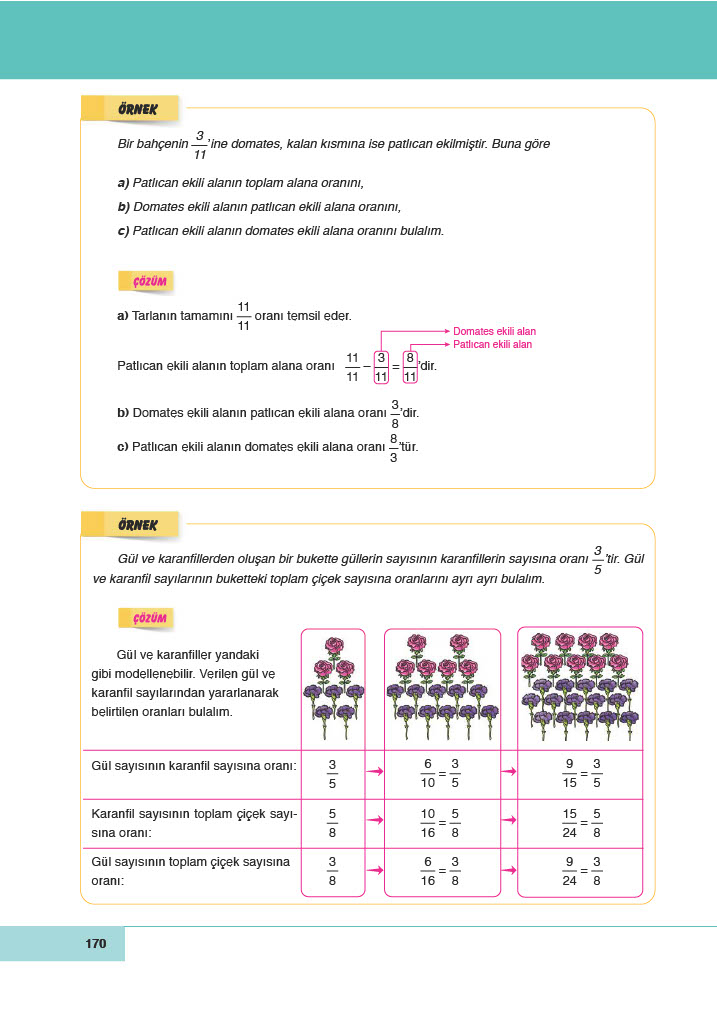 6. Sınıf Meb Yayınları Matematik Ders Kitabı Sayfa 170 Cevapları