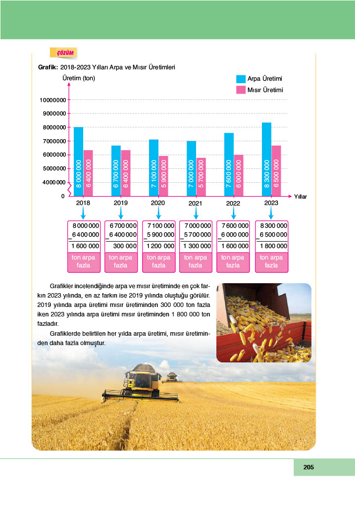 6. Sınıf Meb Yayınları Matematik Ders Kitabı Sayfa 205 Cevapları