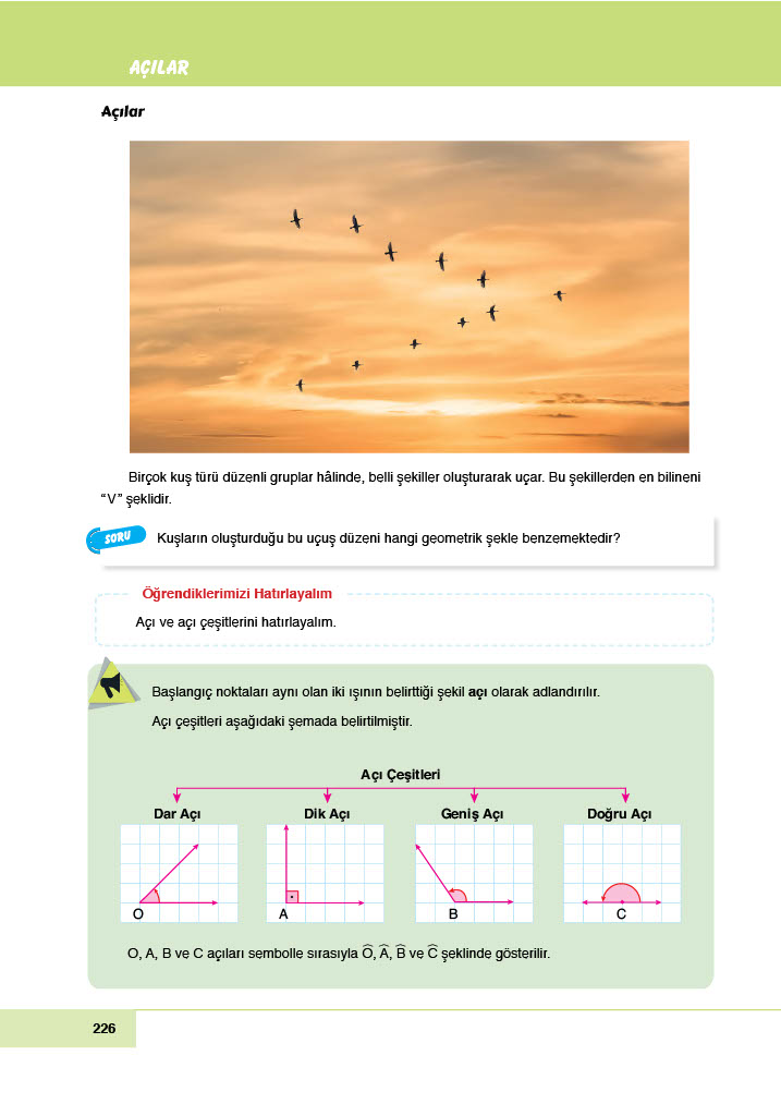 6. Sınıf Meb Yayınları Matematik Ders Kitabı Sayfa 226 Cevapları